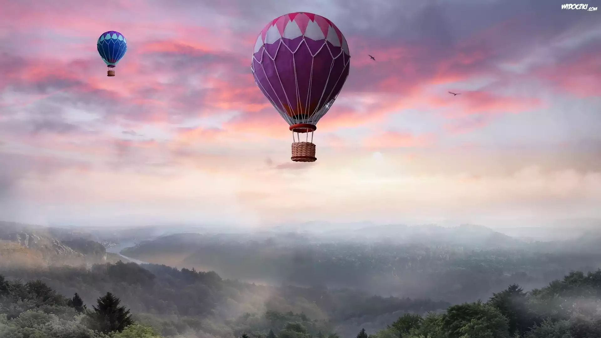 Balony, Góry, Drzewa, Roślinność, Mgła, Ptaki