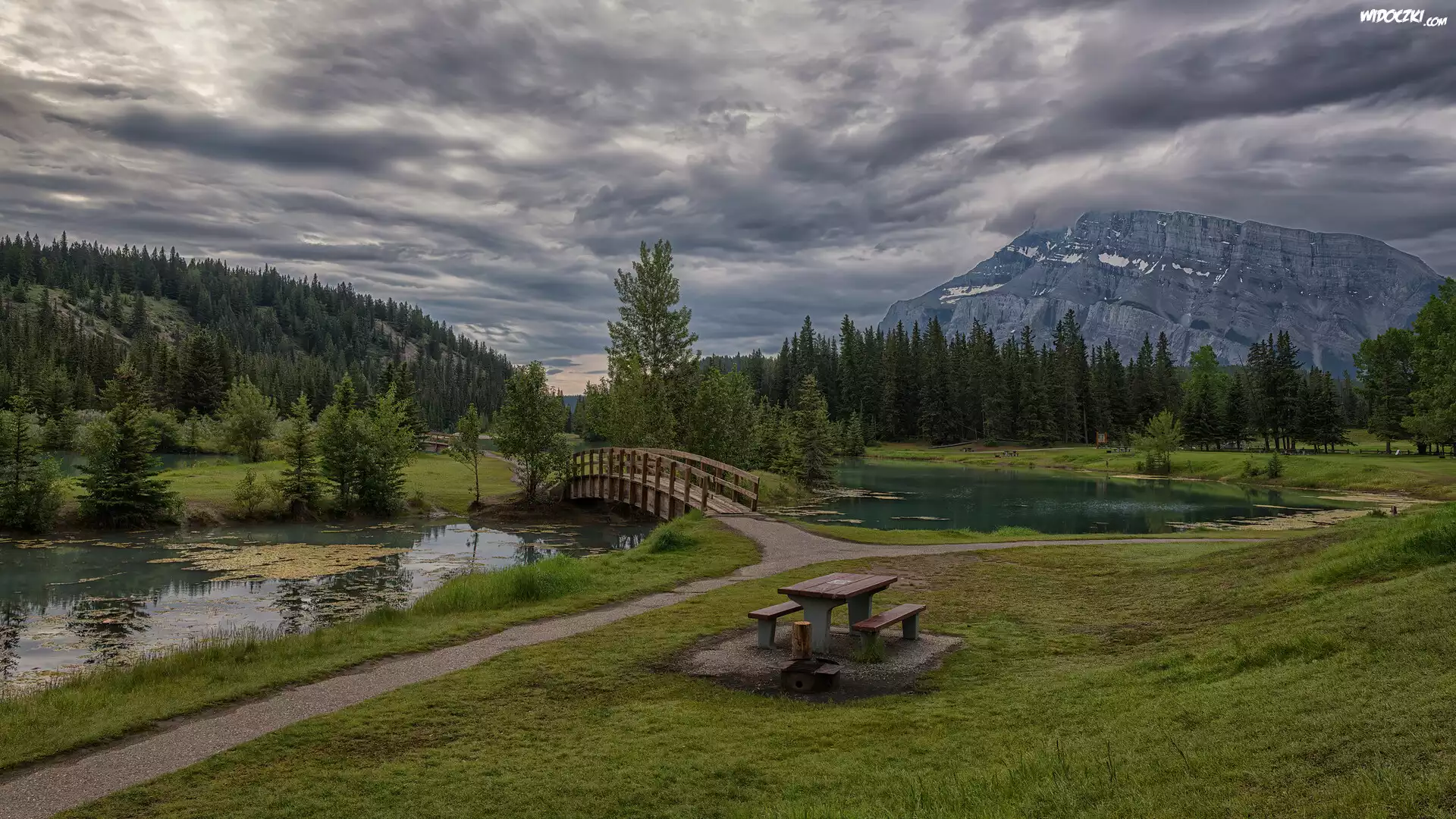 Góry, Góra, Mount Rundle, Drzewa, Staw, Mostek, Park Narodowy Banff, Alberta, Kanada