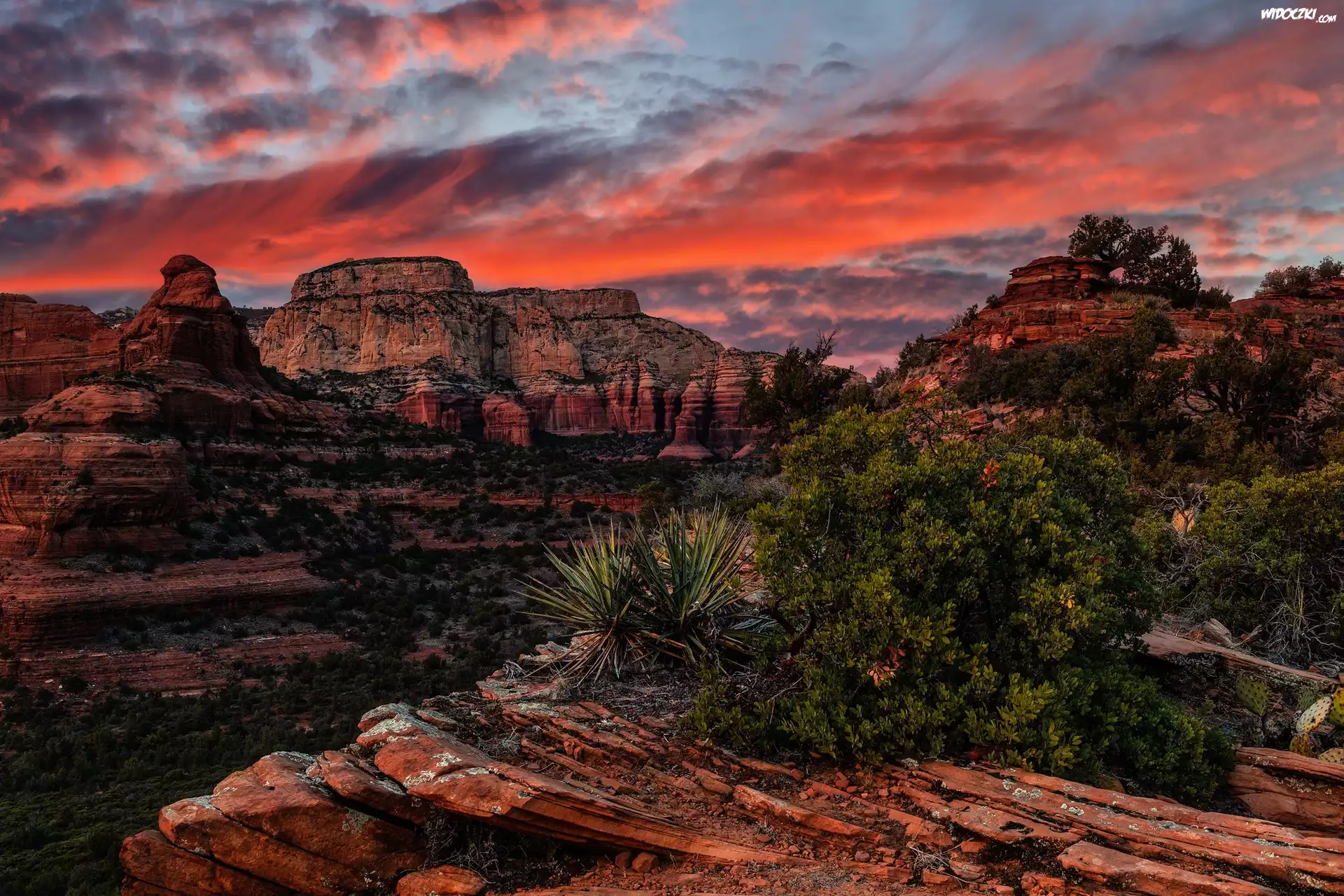 Góry, Skaliste, Szczyt, Maroon Peak, Maroon Bells, Skały, Drzewa, Rośliny, Kolorowe, Niebo, Sedona, Arizona, Stany Zjednoczone