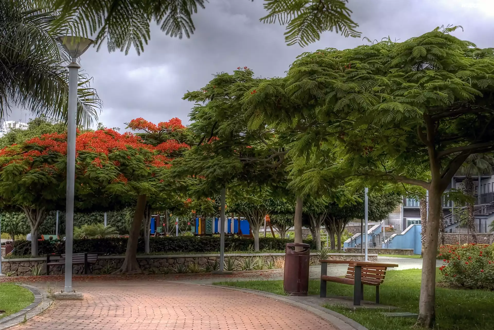 Park, Bench, Nature, Spain, Aleja, Wyspy, Kanaryjskie