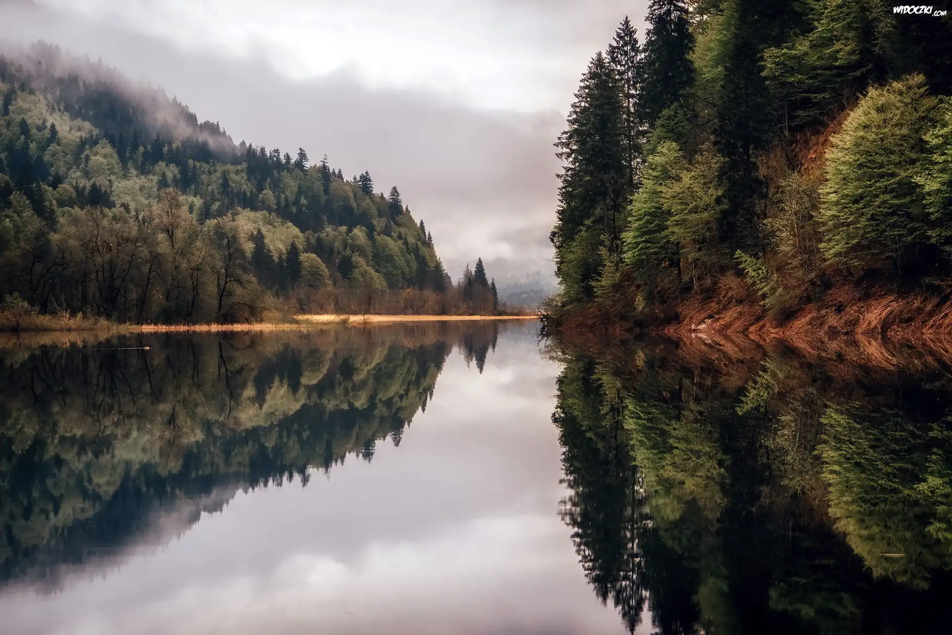 Jezioro Bergsee, Drzewa, Odbicie, Las, Mgła, Bawaria, Niemcy