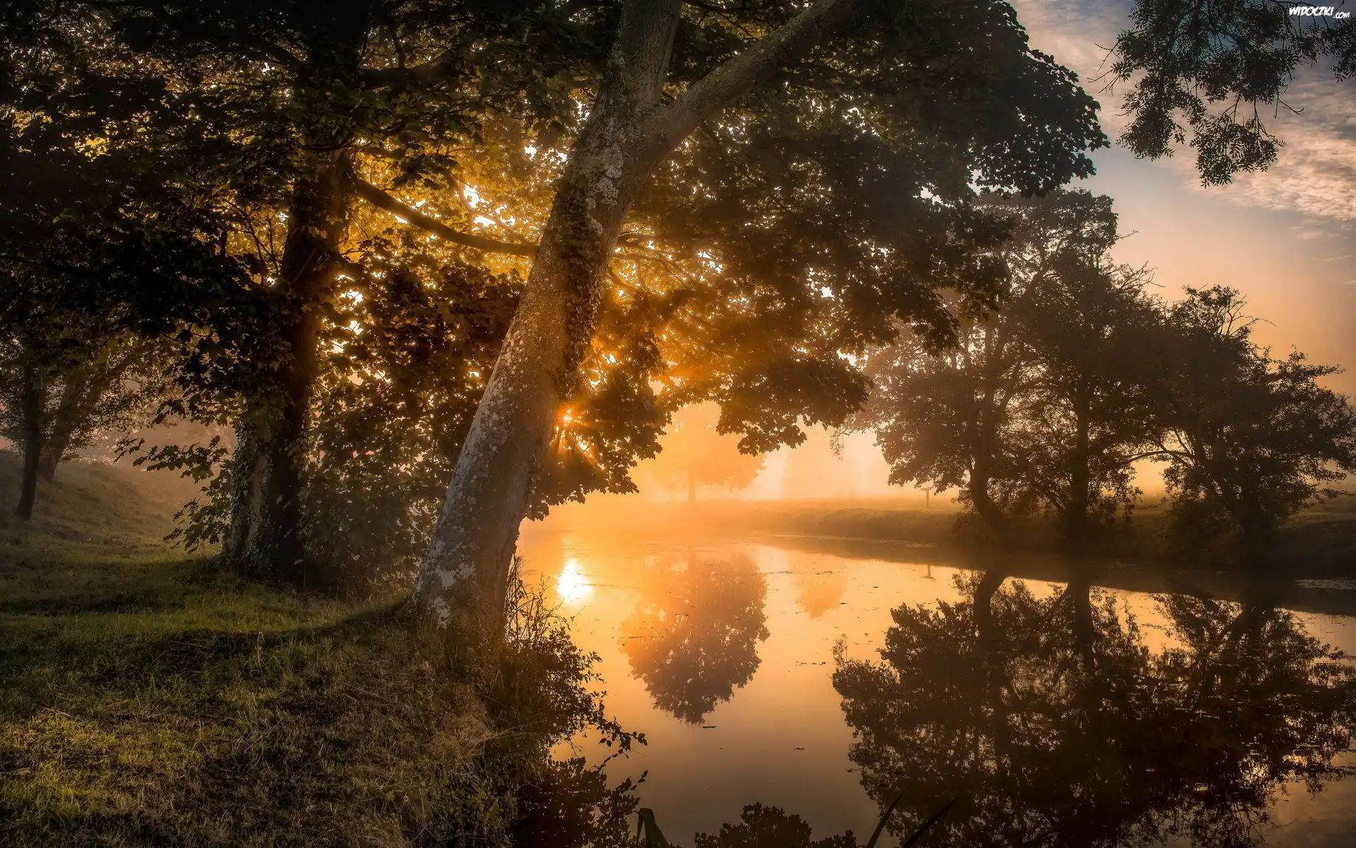 Anglia, Hrabstwo Northamptonshire, Lyveden New Bield, Rzeka, Mgła, Drzewa, Poranek, Wschód słońca