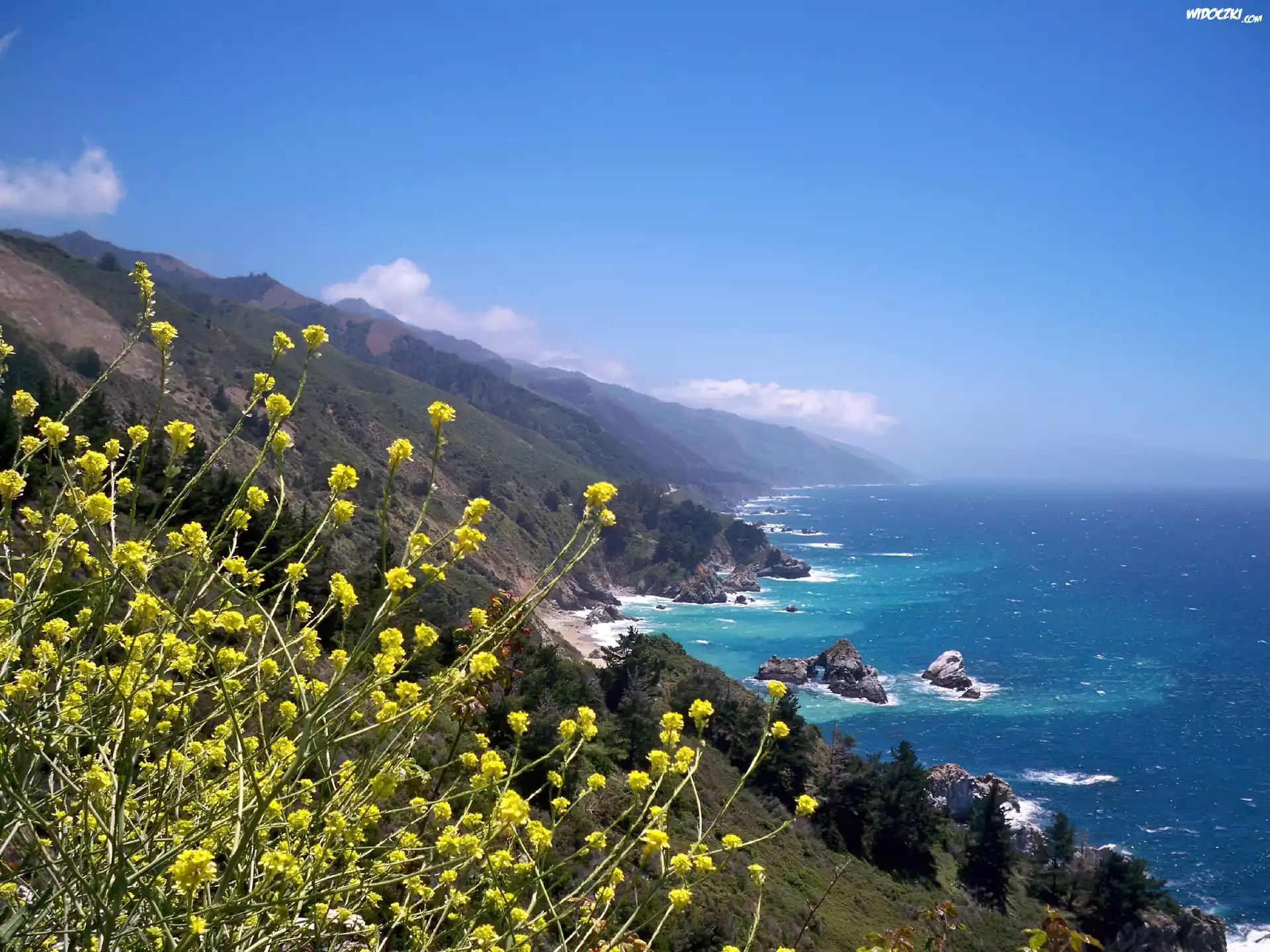 Big Sur, Woda, Góry, Kwiatki