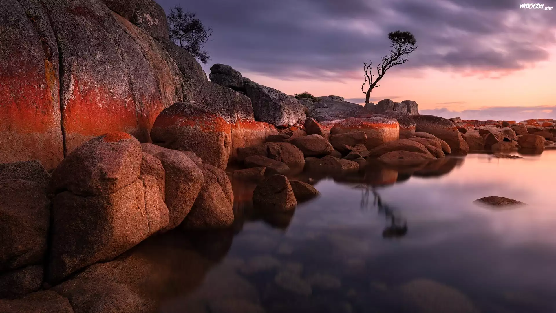Australia, Tasmania, Binalong Bay, Morze, Skały, Głazy, Drzewo, Wschód słońca, Chmury
