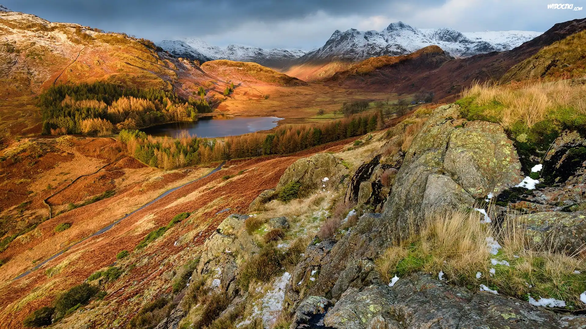 Góry, Dolina, Jezioro, Blea Tarn, Drzewa, Skały, Chmury, Park Narodowy Lake District, Anglia