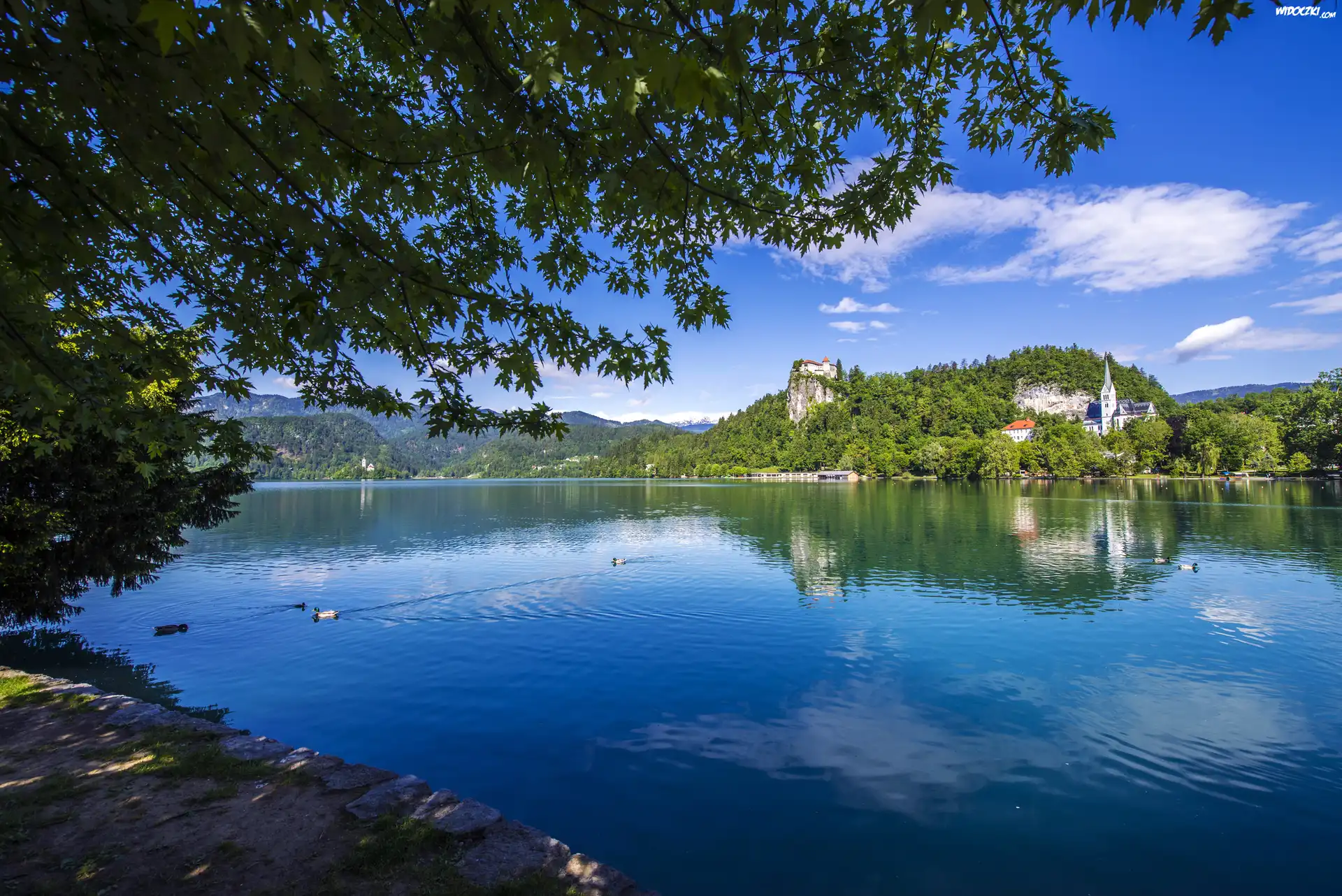 Słowenia, Jezioro Bled, Kościół, Kaczki, Góry, Drzewa, Wzgórze, Zamek Bled Castle