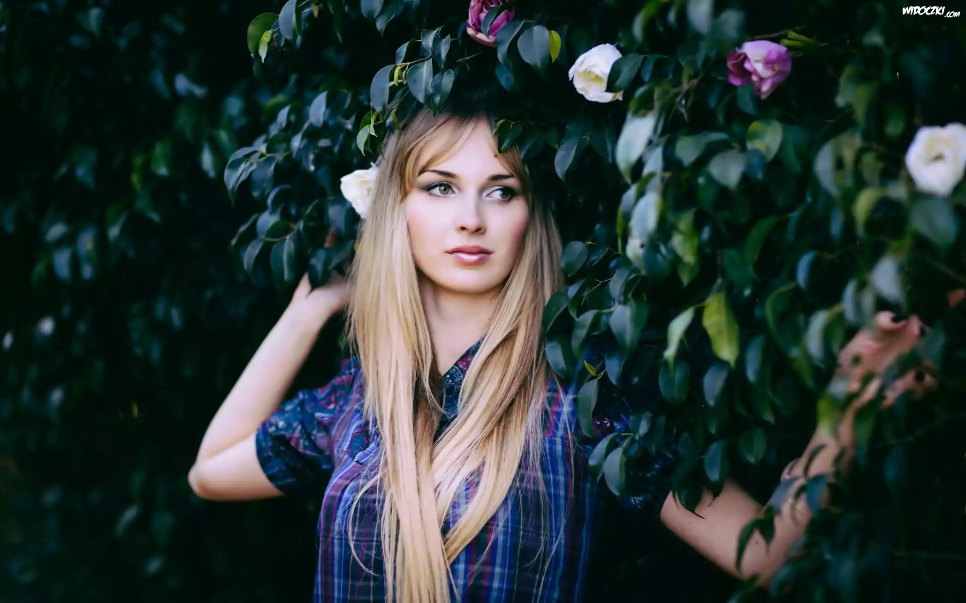 Blondynka, Makijaż, Park, Kwitnące, Drzewa, Wiosna