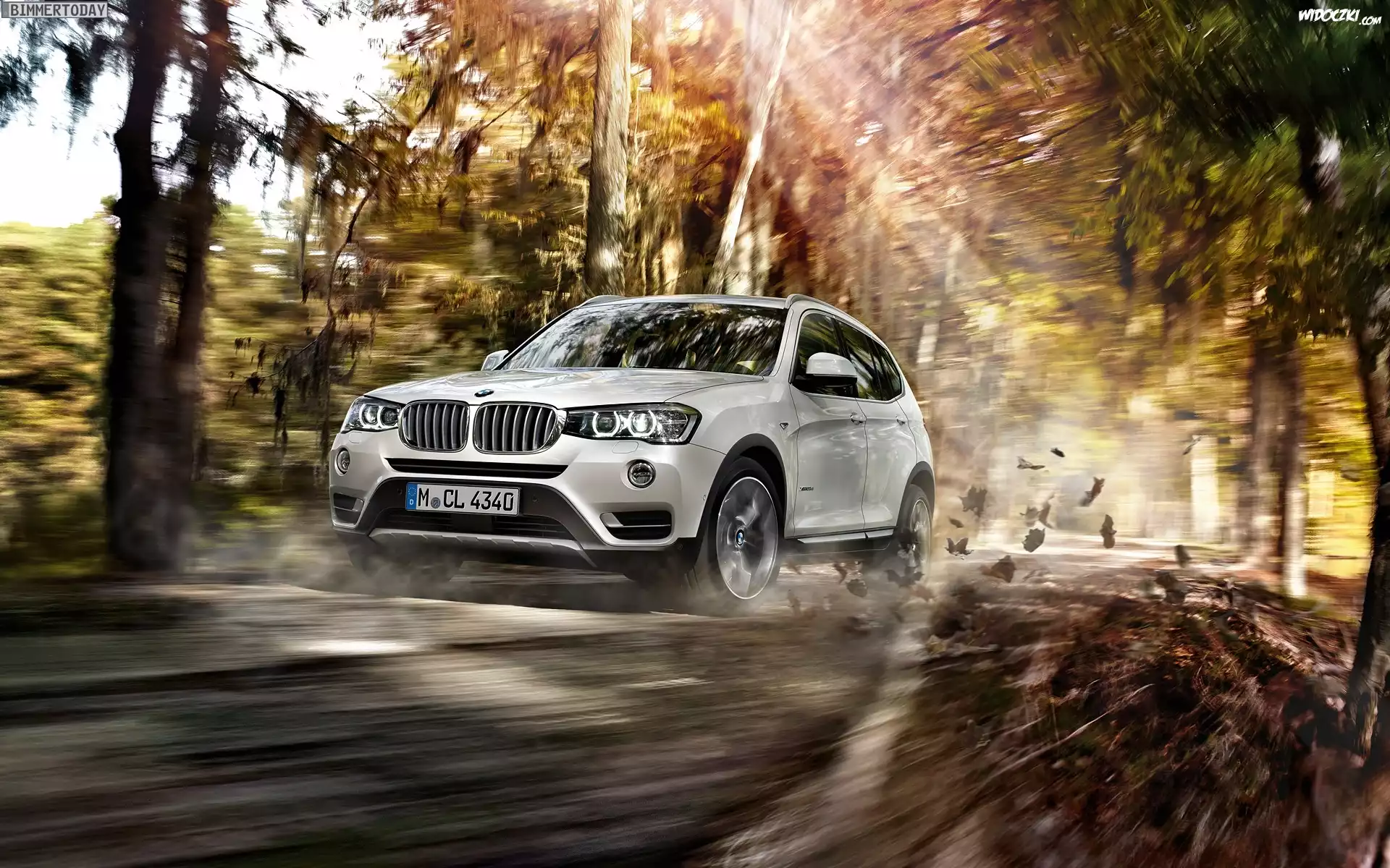 Bmw X3, Droga, Drzewa