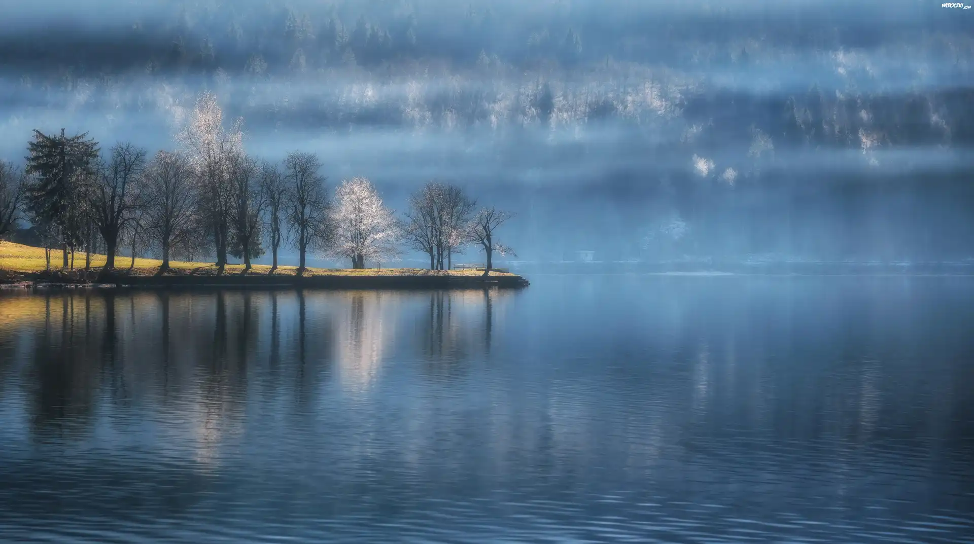 Jezioro Bohinj, Mgła, Drzewa, Triglavski Park Narodowy, Słowenia