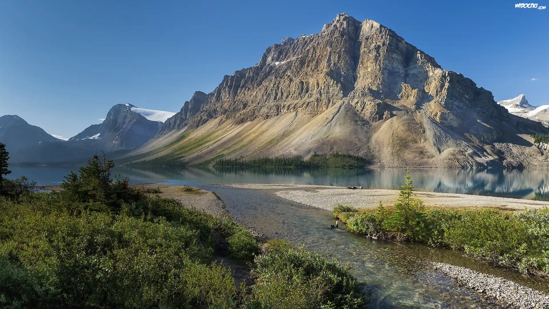 Góry, Jezioro, Bow Lake, Roślinność, Park Narodowy Banff, Prowincja Alberta, Kanada