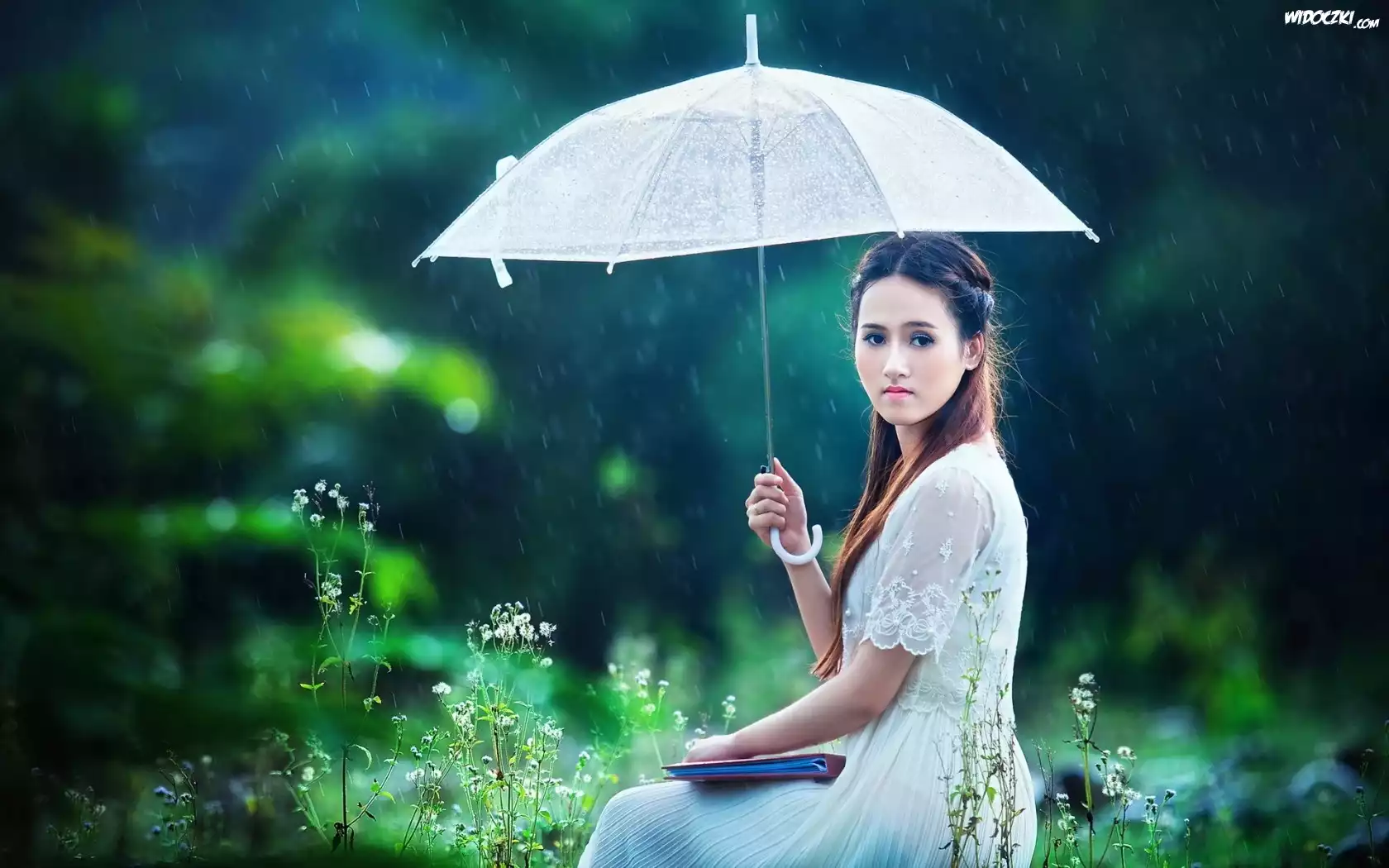 Brunetka, Łąka, Deszcz, Parasol, Parasolka