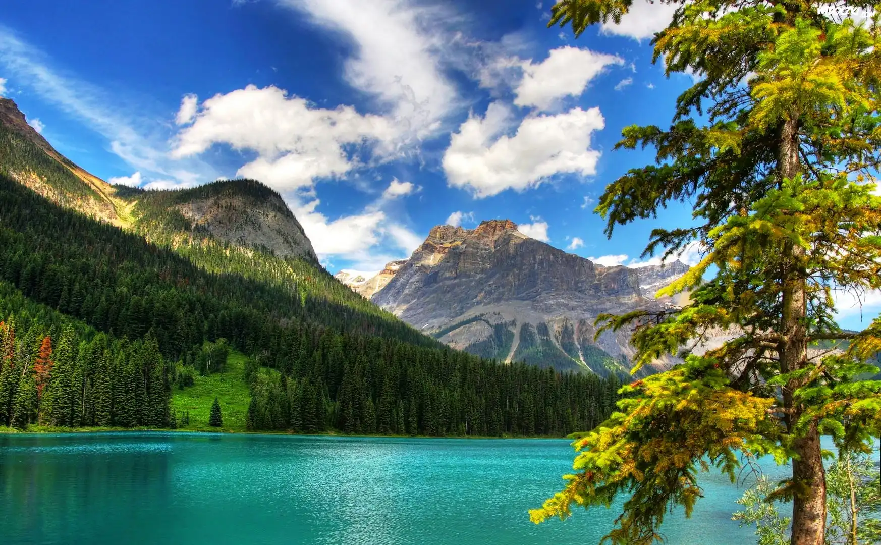 Kanada, Kolumbia Brytyjska, Park Narodowy Yoho, Jezioro Emerald Lake, Góry, Lasy