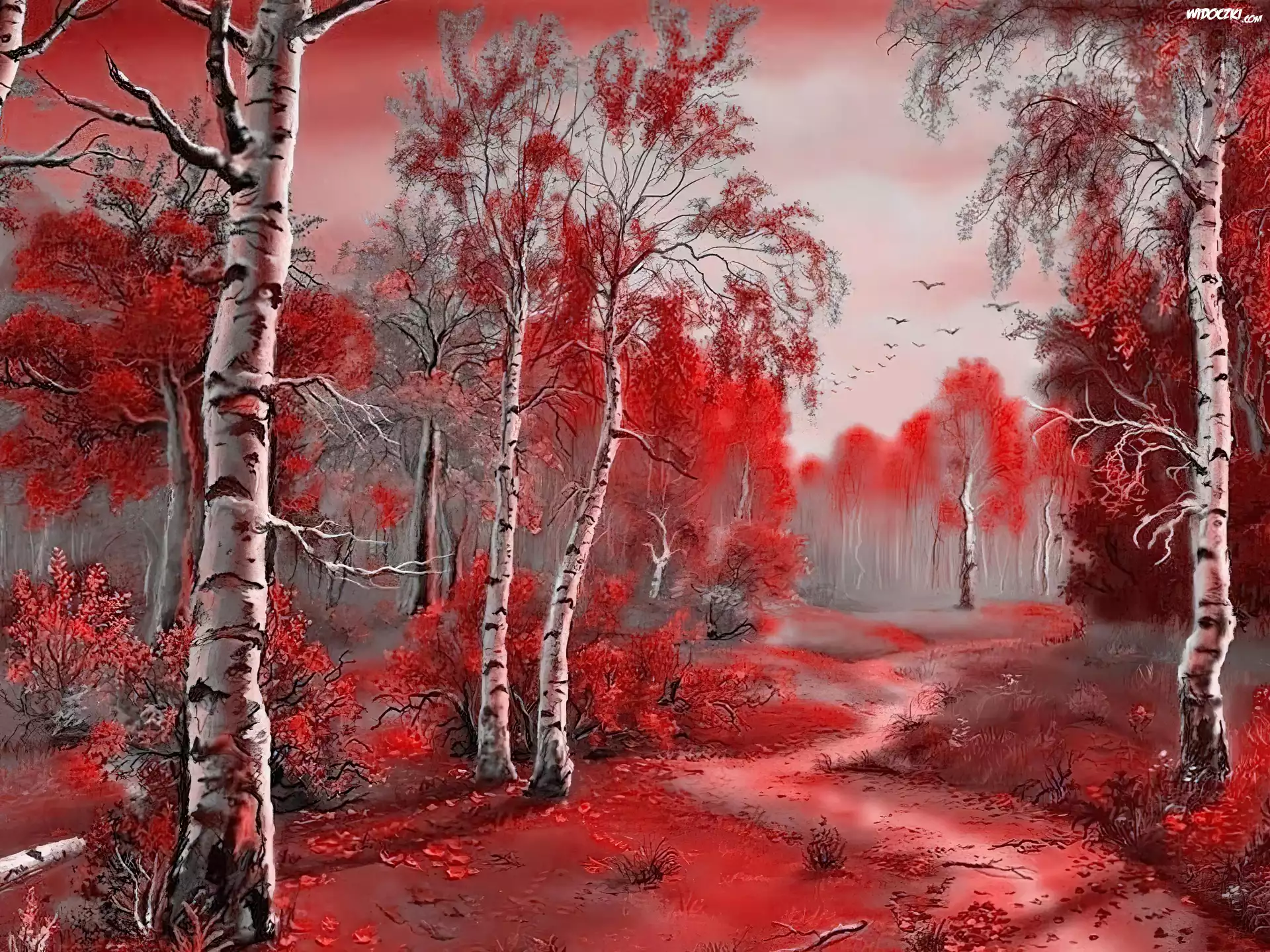 Lasek, Brzozowy, Ścieżka