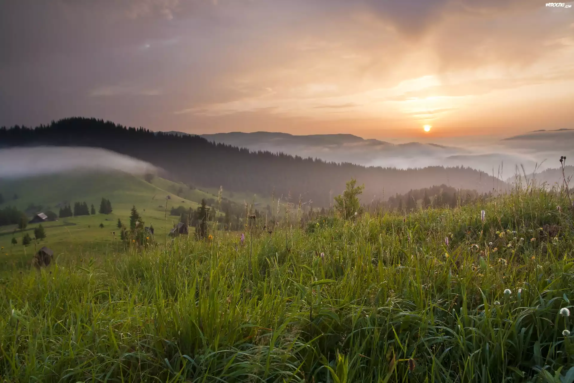 Rumunia, Bukowina, Wzgórza, Zachód słońca, Mgła, Drzewa, Łąka