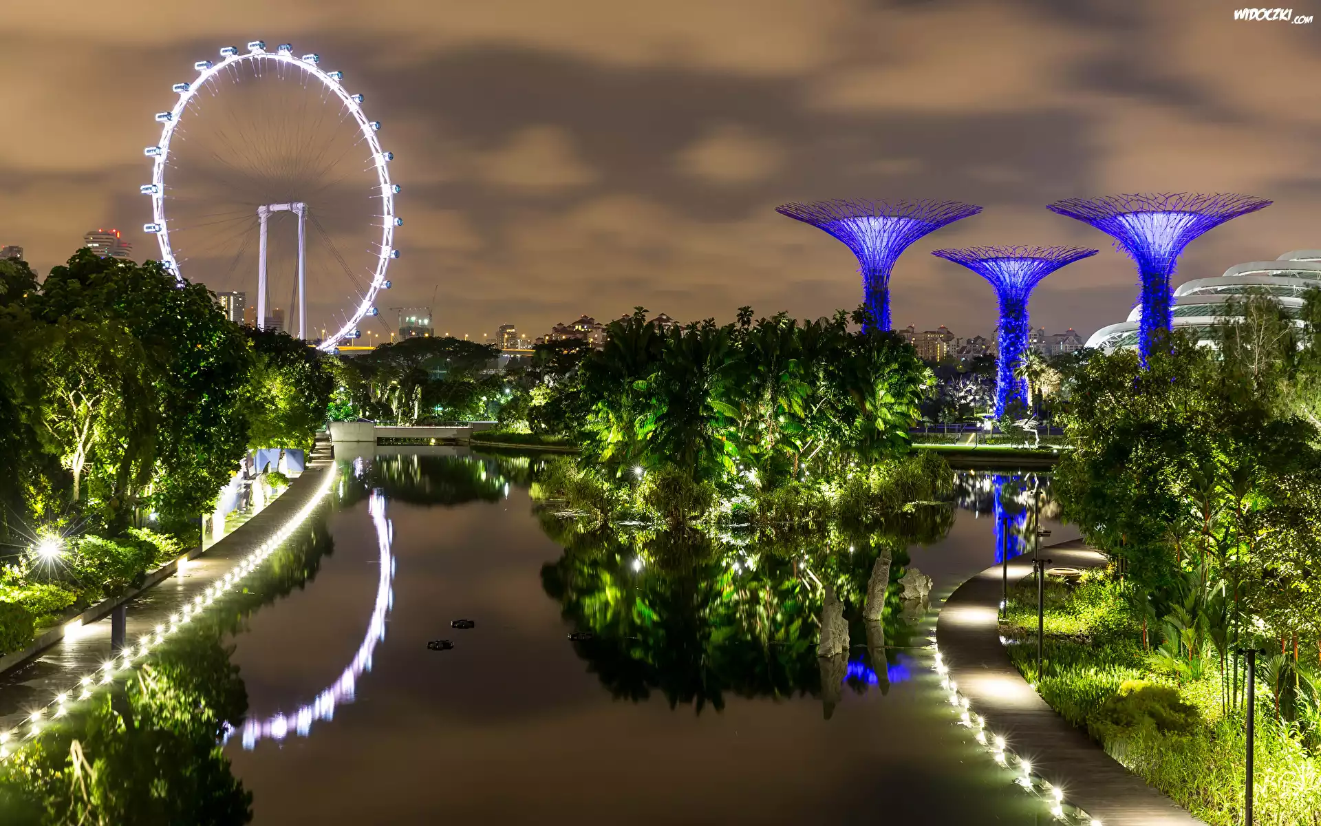 Staw, Ogród, Gardens by the Bay, Singapur