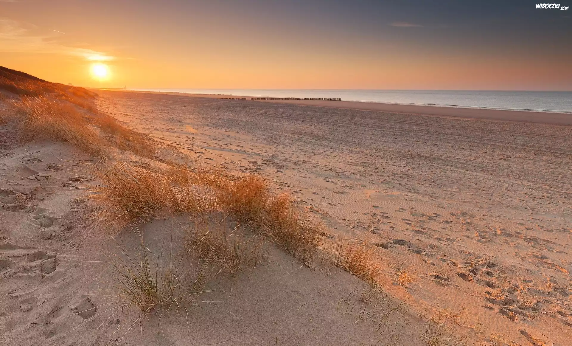 Holandia, Cadzand, Morze Północne, Plaża, Piasek, Wschód słońca