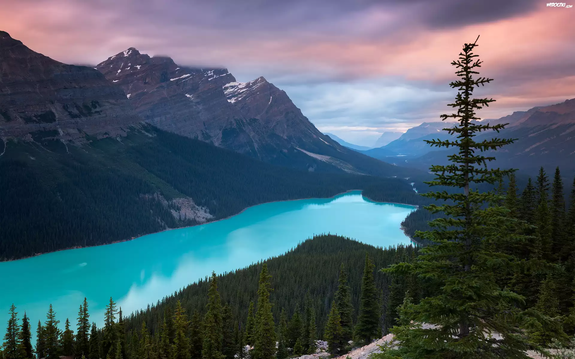 Kanada, Park Narodowy Banff, Góry Canadian Rockies, Jezioro Peyto Lake, Las, Chmury