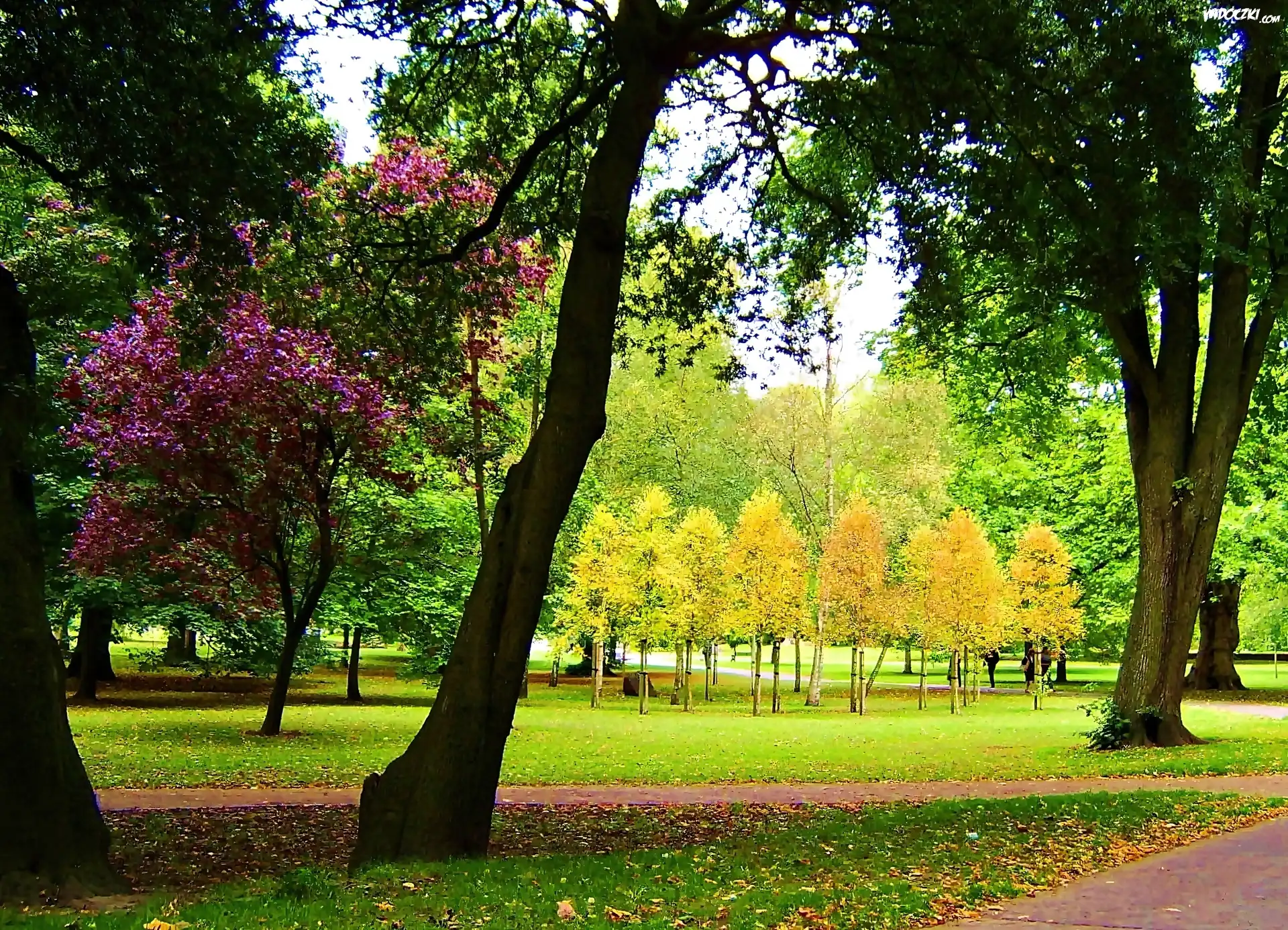 Cardiff, Park