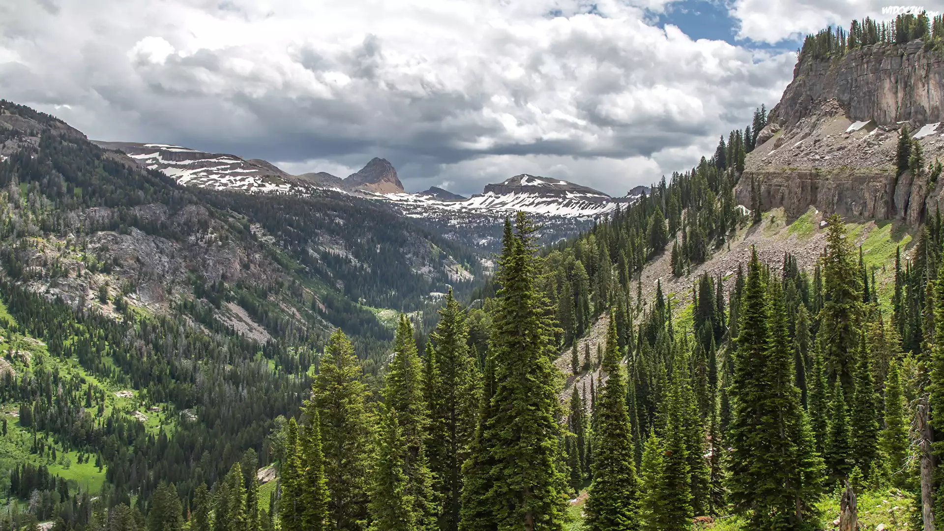 Góry, Las, Caribou-Targhee National Forest, Świerki, Dolina, Chmury, Stany Zjednoczone