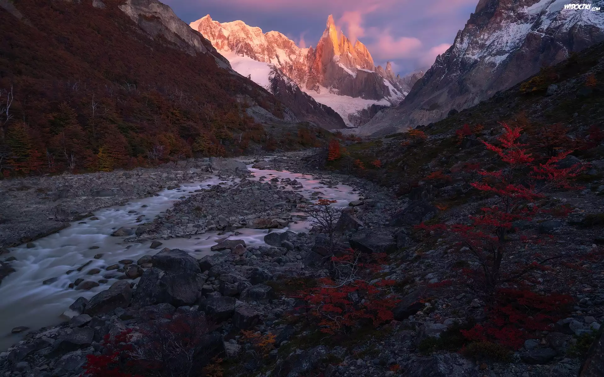 Argentyna, Patagonia, Góry, Cerro Torre, Rzeka, Roślinność
