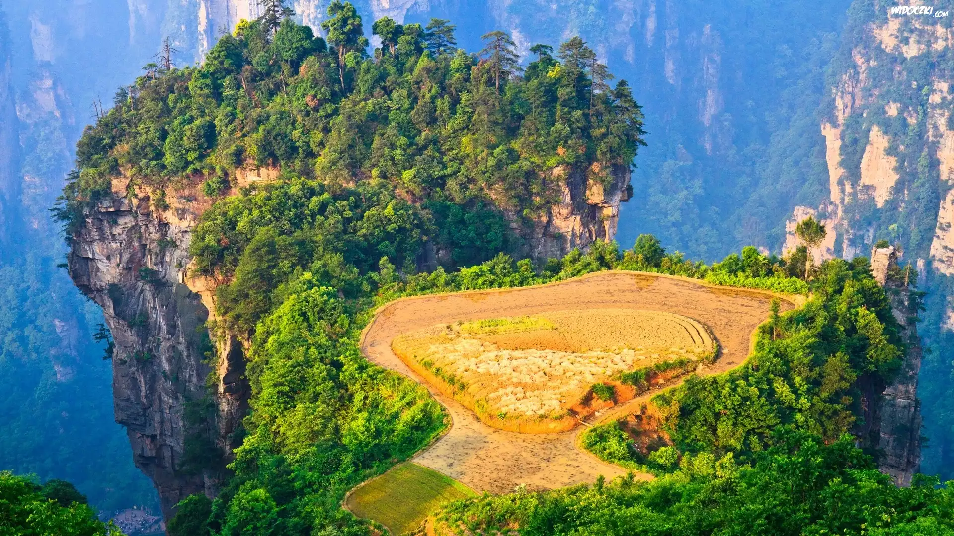 Skały, Drzewa, Zhangjiajie National Forest Park, Rezerwat Wulingyuan, Hunan, Chiny