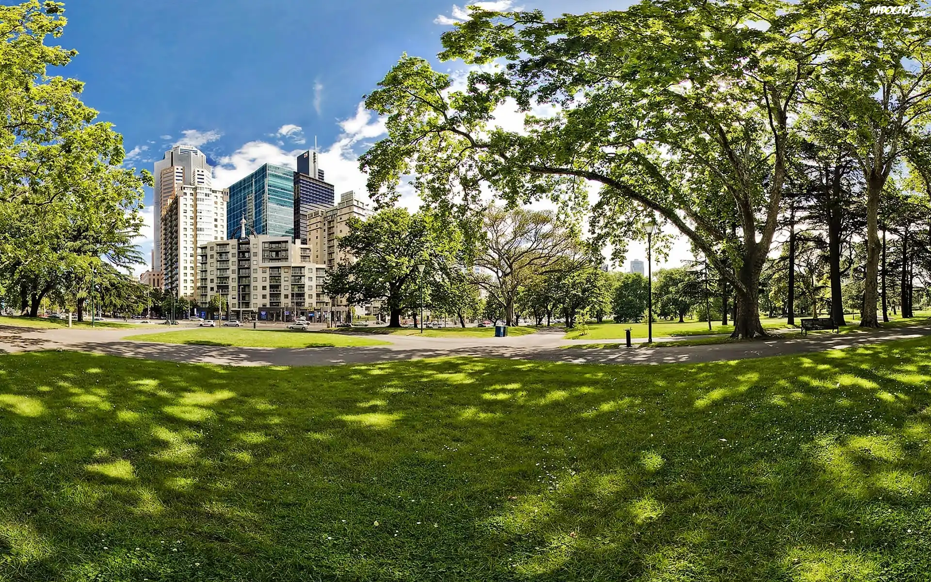 Drapacze, Chmur, Park, Carlton, Gardens, Przebijające, Światło,
Melbourne
