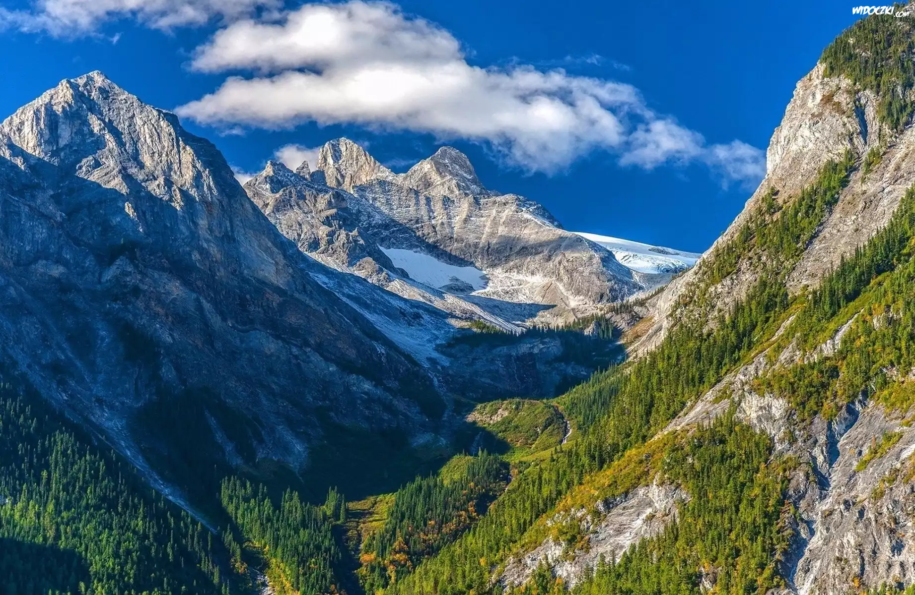 Góry, Chmury, Drzewa