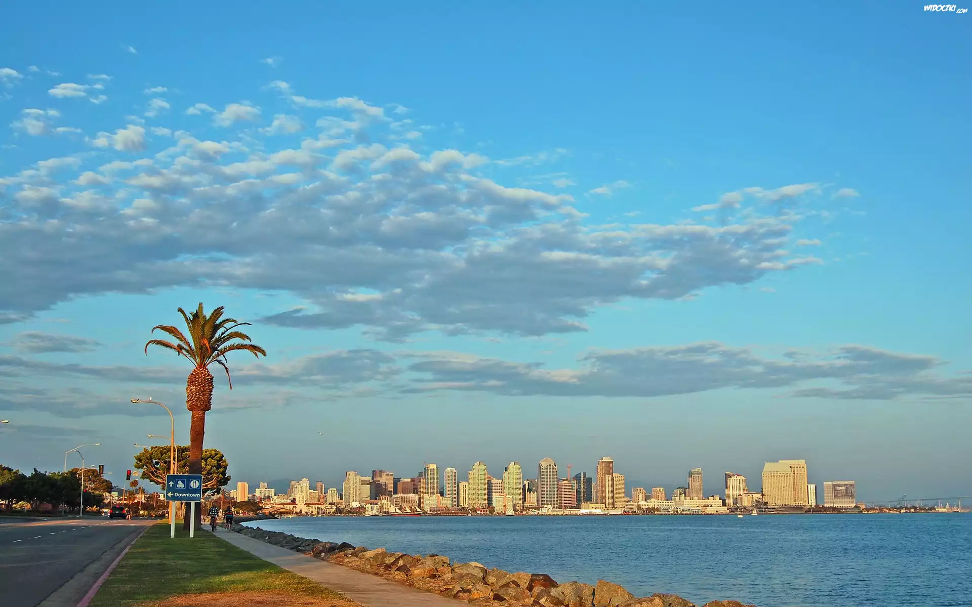 Stany Zjednoczone, San Diego, Drapacze Chmur, Ocean, Palma, Chmury