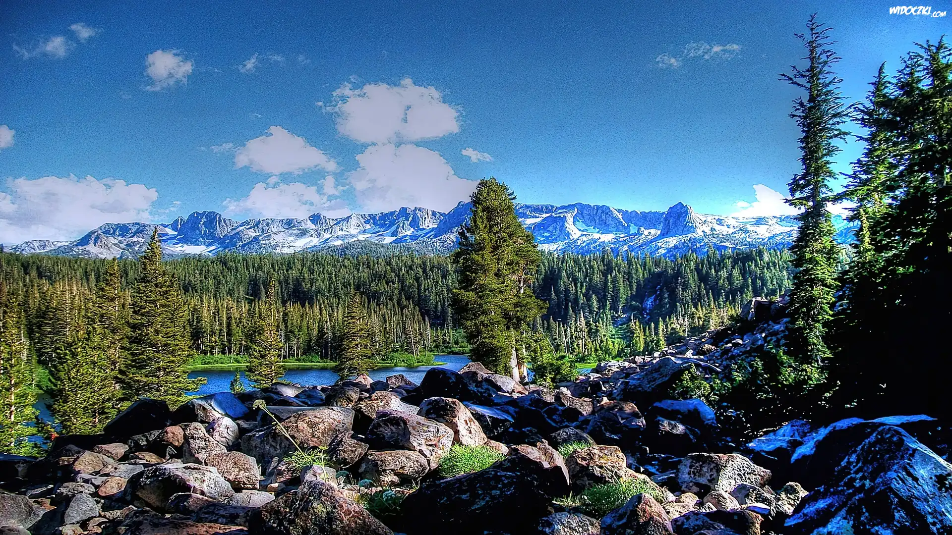Góry, Choinki, Kamienie