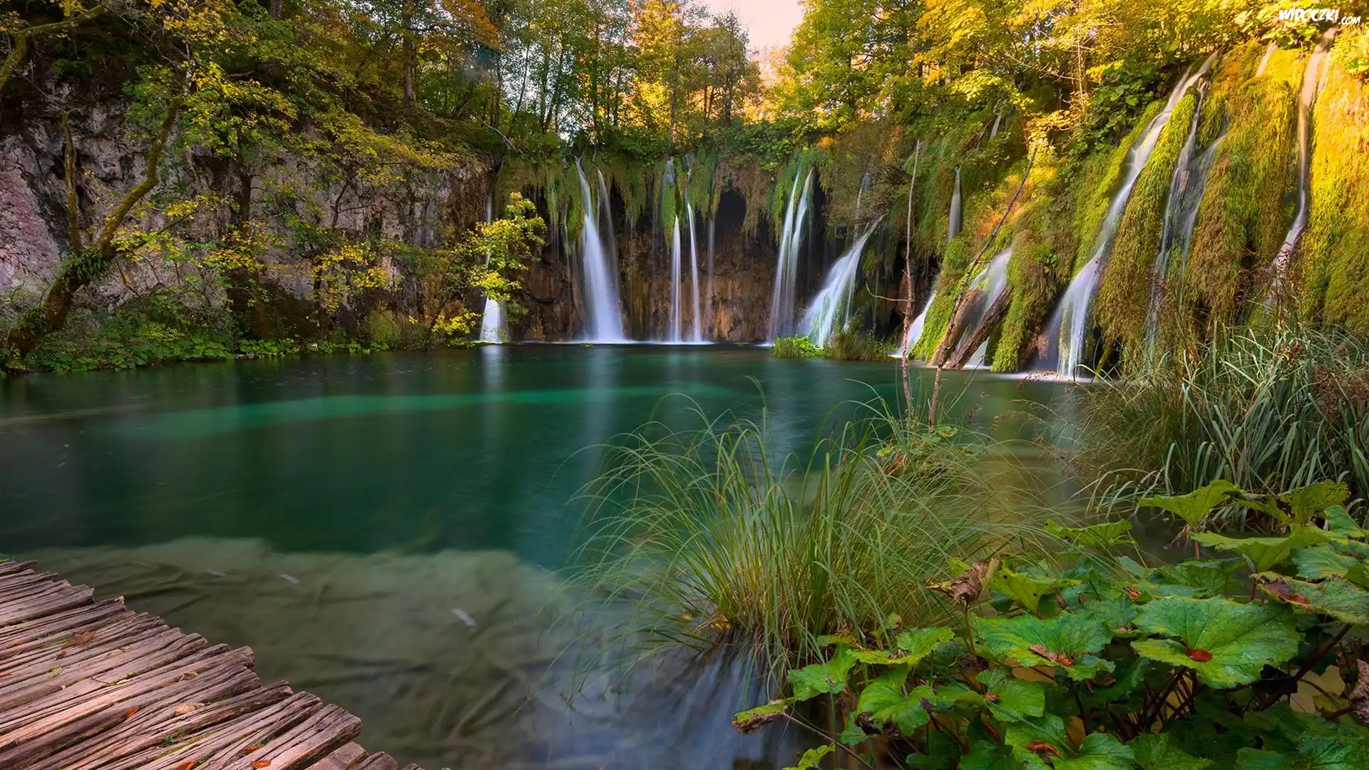 Wodospad, Jezioro, Park Narodowy Jezior Plitwickich, Drzewa, Rośliny, Chorwacja