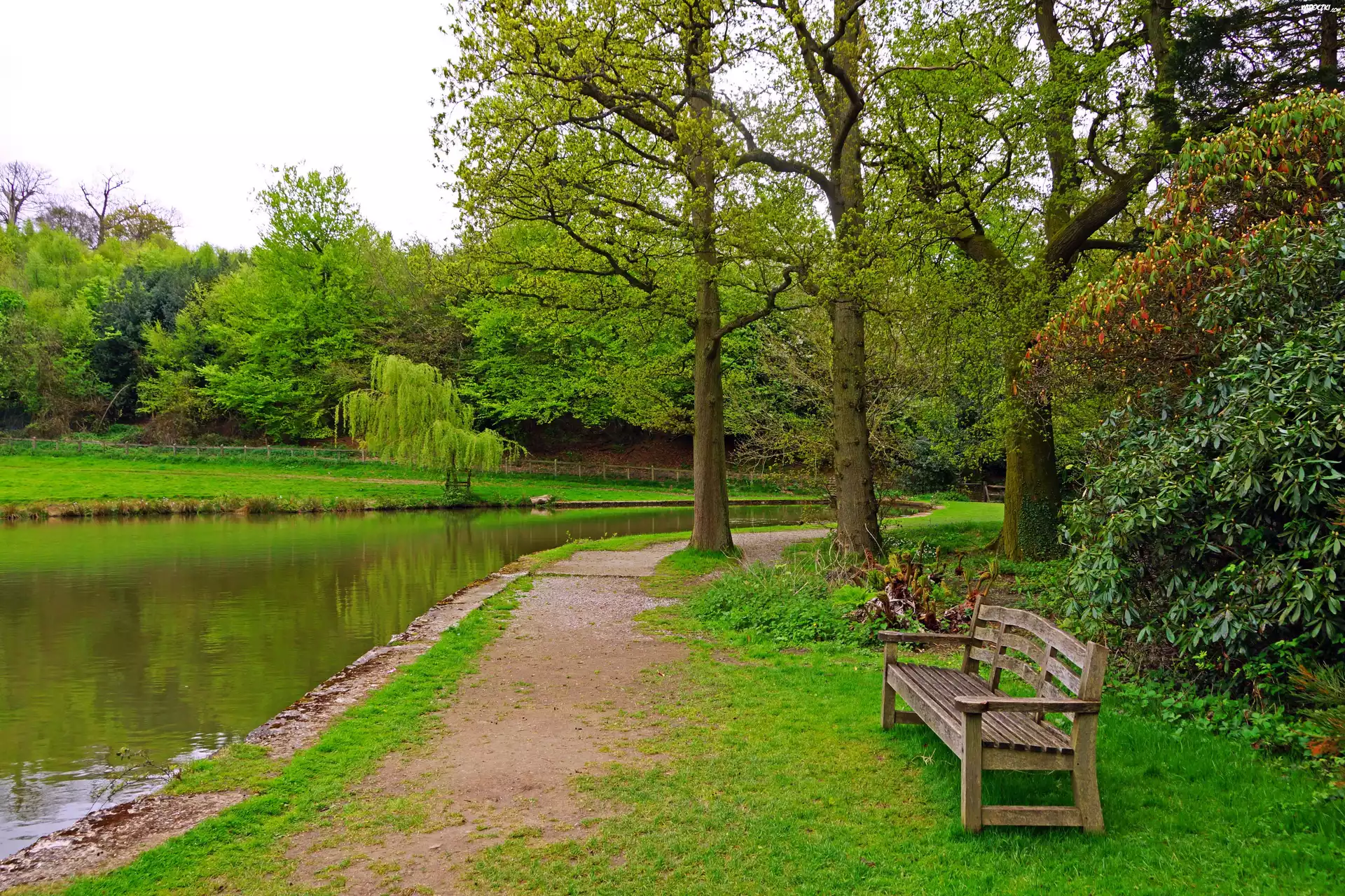 Park, Ścieżka, Ławka