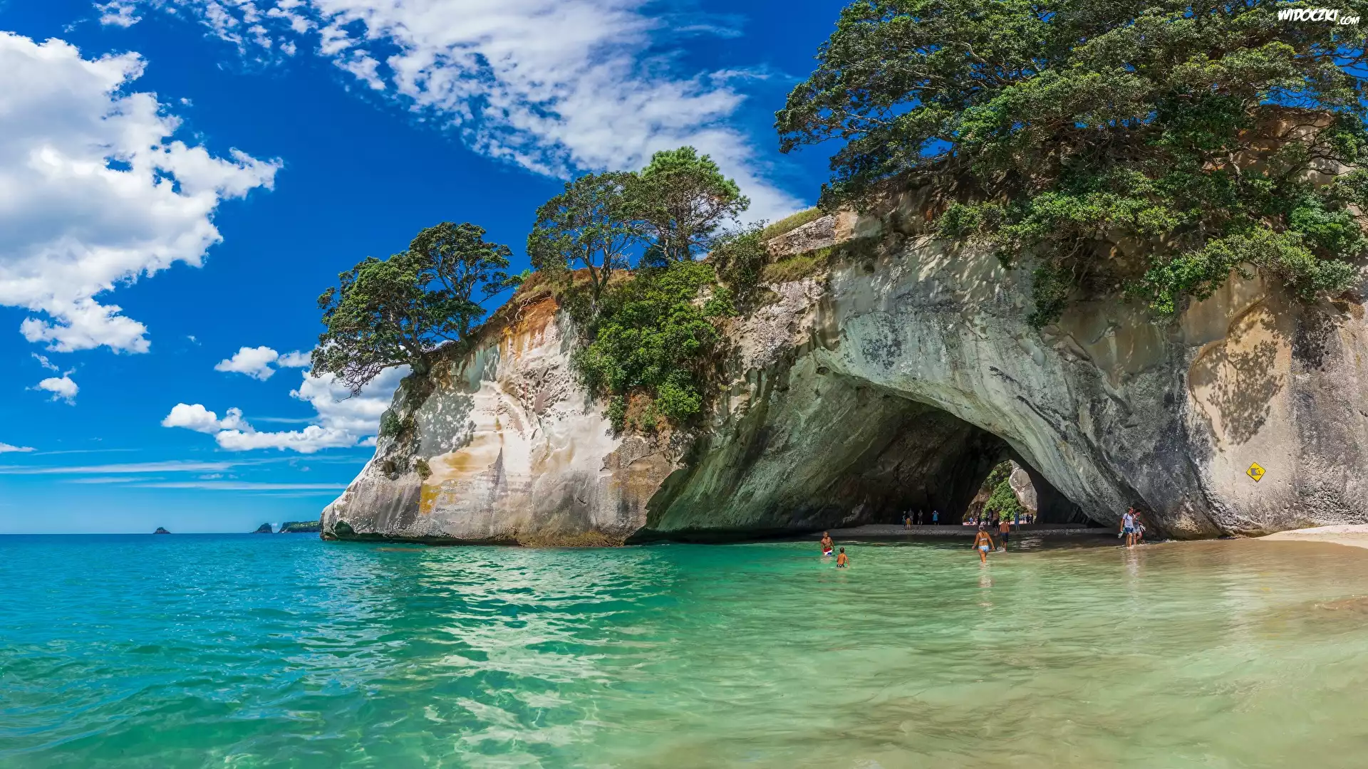 Morze, Skały, Drzewa, Jaskinia, Cathedral Cove, Region Waikato, Półwysep Coromandel, Nowa Zelandia