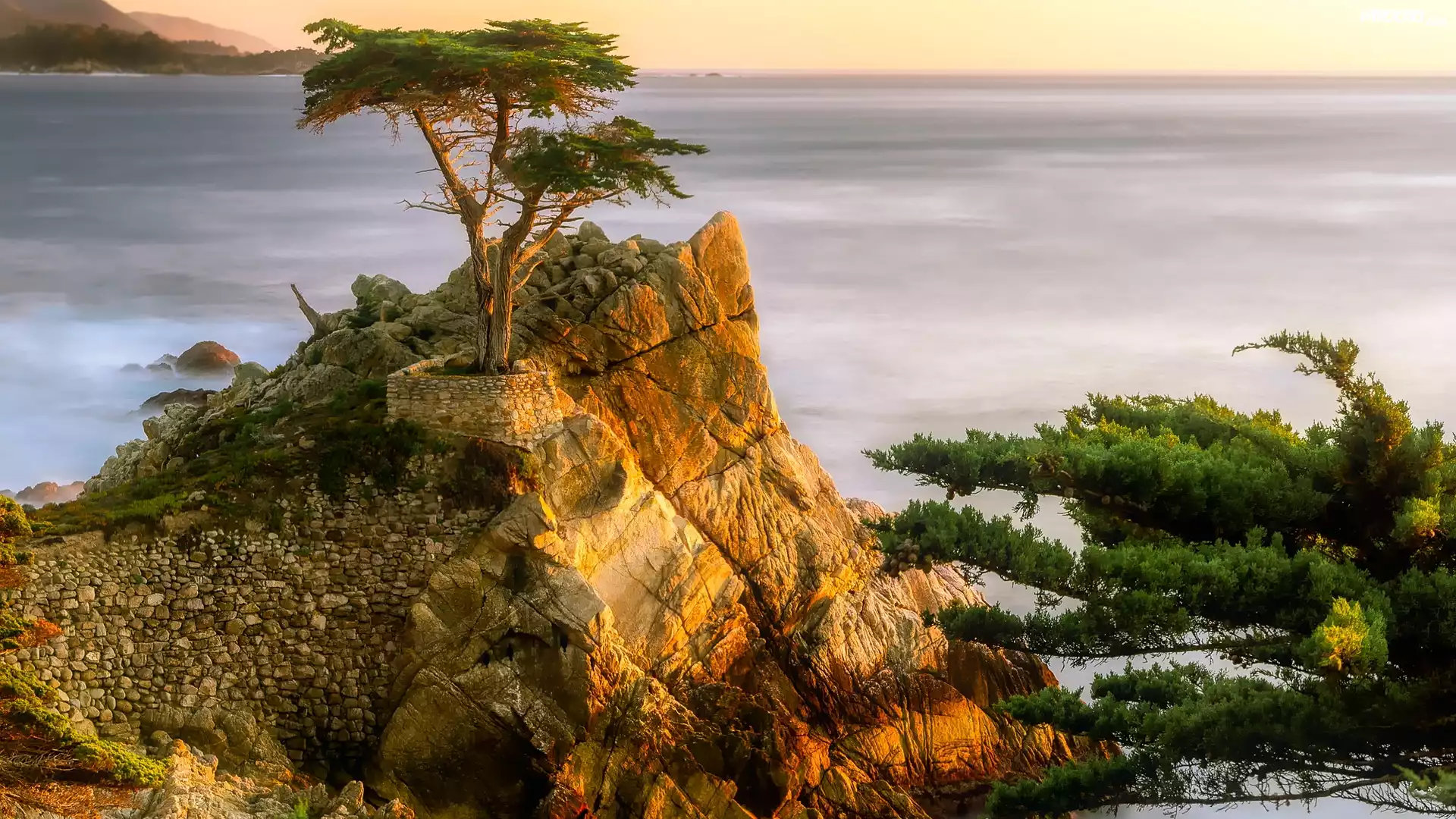 Cyprys wielkoszyszkowy, Atrakcja, Lone Cypress, Skała, Morze, Pebble Beach, Zatoka Monterey, Morze, Kalifornia, Stany Zjednoczone