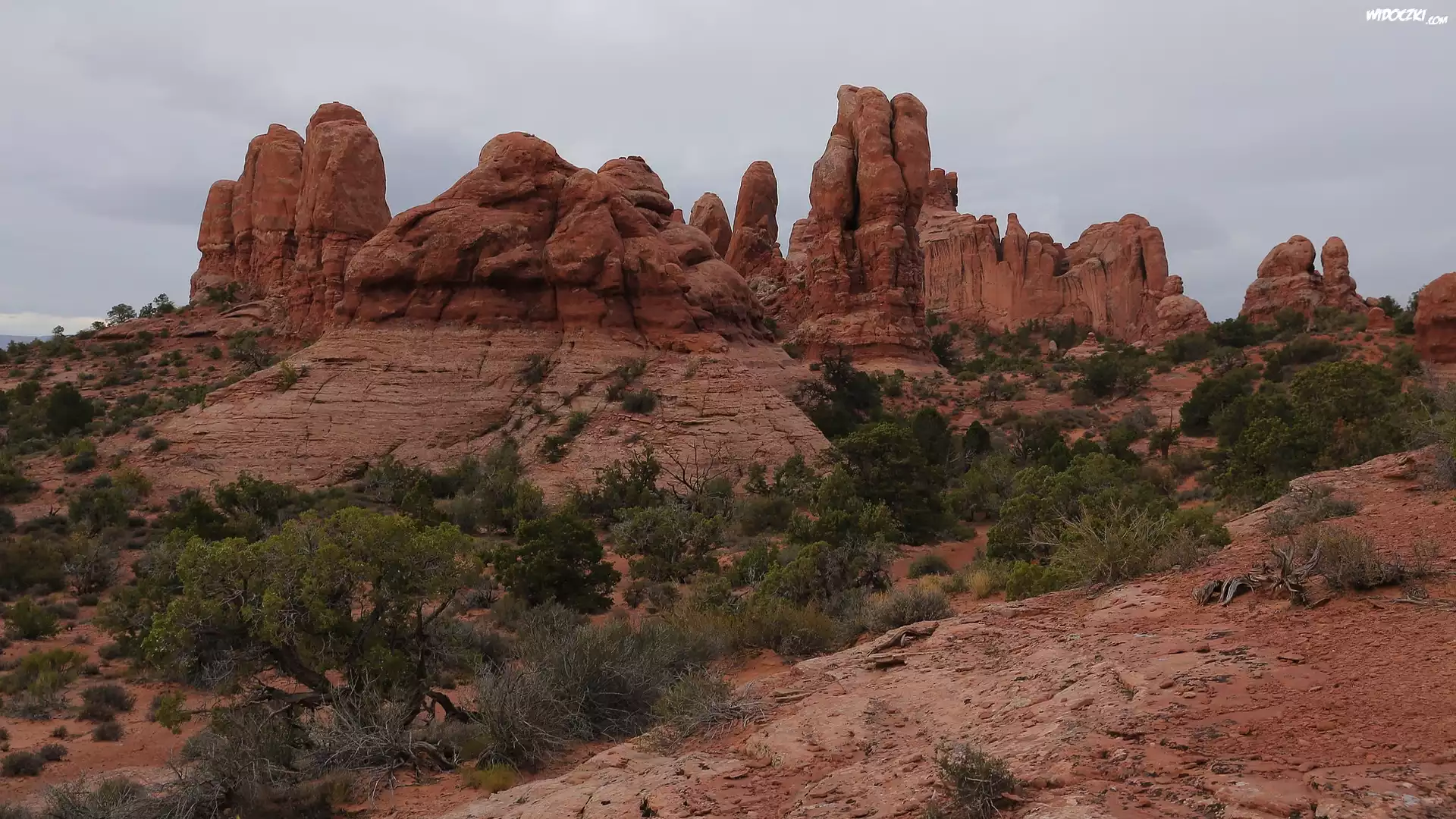 Czerwone, Skały, Rośliny, Park Narodowy Arches, Stan Utah, Stany Zjednoczone