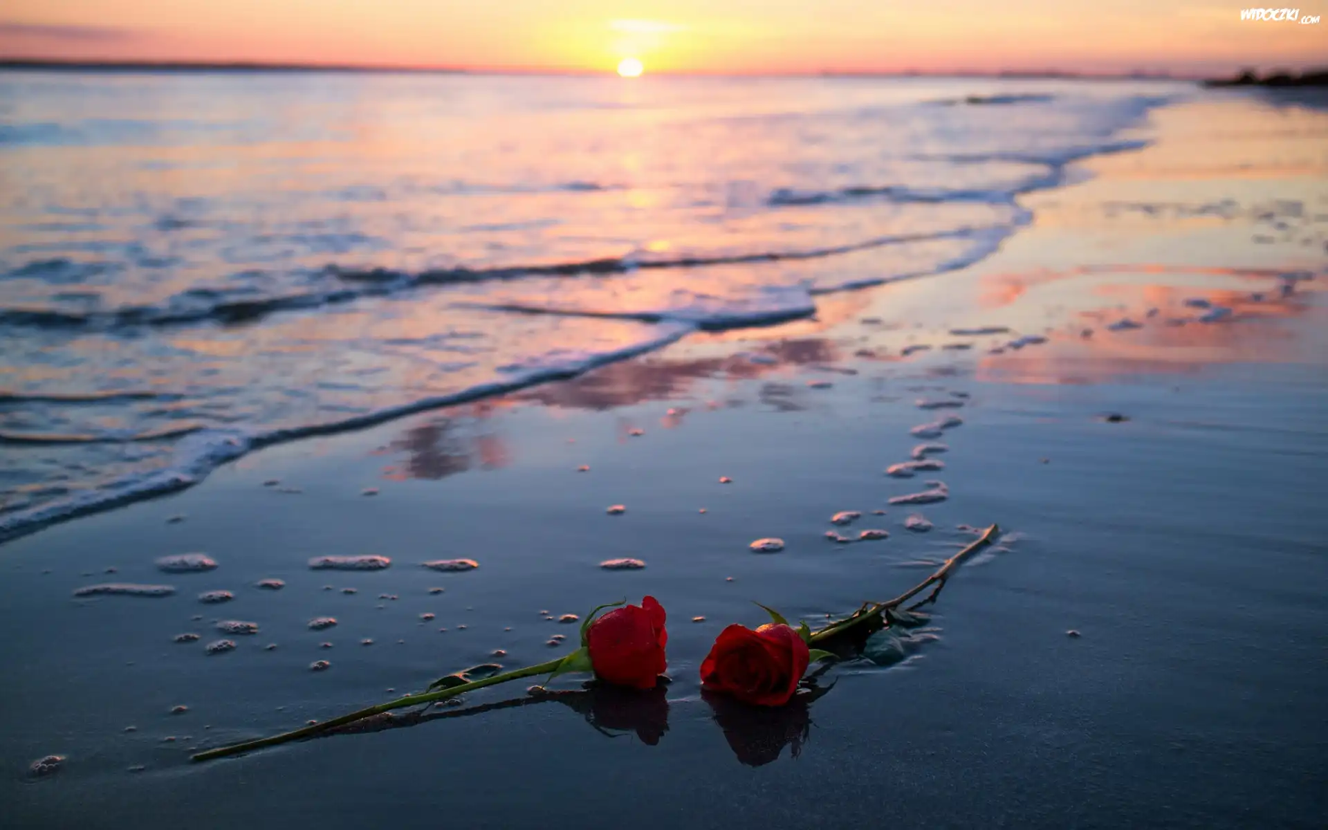 Czerwone, Róże, Plaża, Zachód słońca