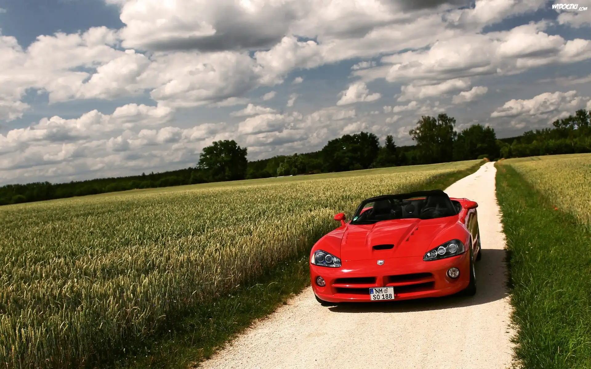 Czerwony, Dodge Viper, Droga, Pole