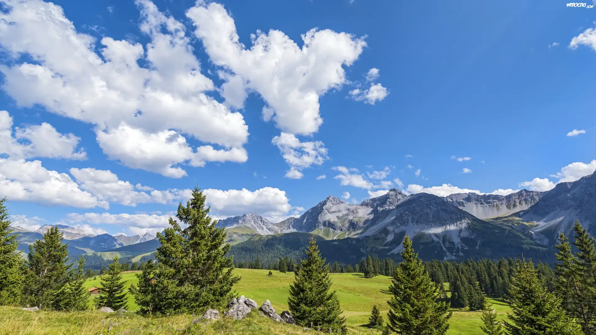 Szwajcaria, Davos, Góry Albula-Alpen, Drzewa, Łąki, Chmury