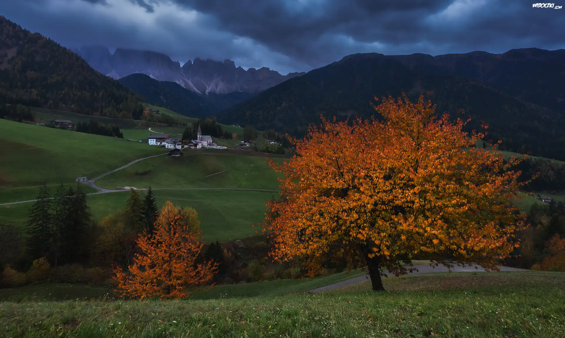 Góry, Dolomity, Dolina Val di Funes, Domy, Wieś Santa Magdalena, Kościół, Drzewa, Droga, Włochy