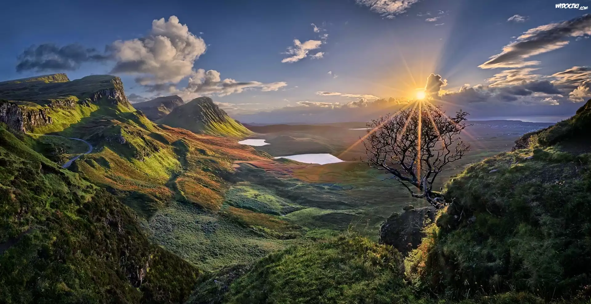 Szkocja, Dolina, Wzgórza, Quiraing, Zachód słońca, Drzewo