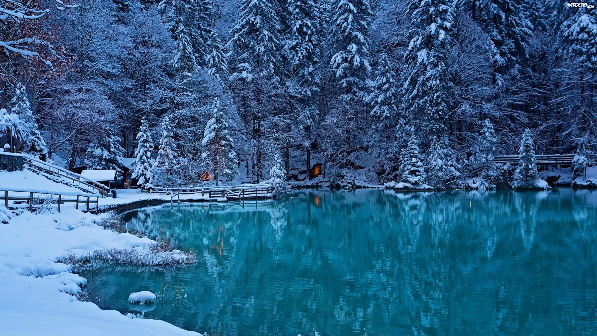 Szwajcaria, Dolina Kandera, Zima, Jezioro Blausee, Drzewa, Åšwierki
