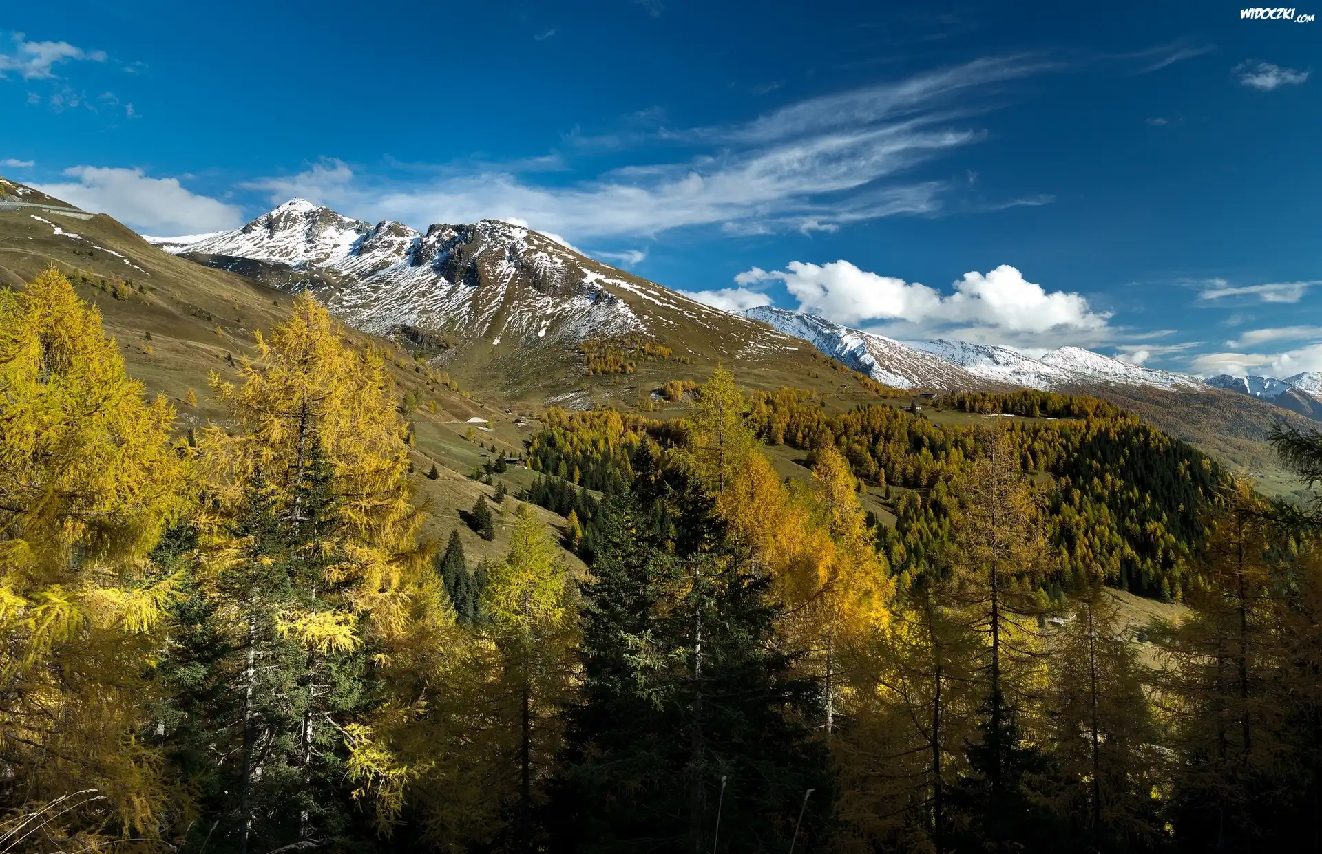 Austria, Gmina Zell am See, Góry Alpy, Drzewa, Dolina