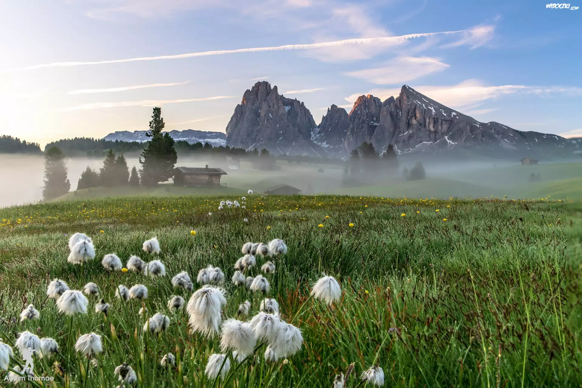 Łąka, Kwiaty, Domy, Mgła, Płaskowyż Seiser Alm, Dolina Val Gardena, Góry Sassolungo, Dolomity, Włochy
