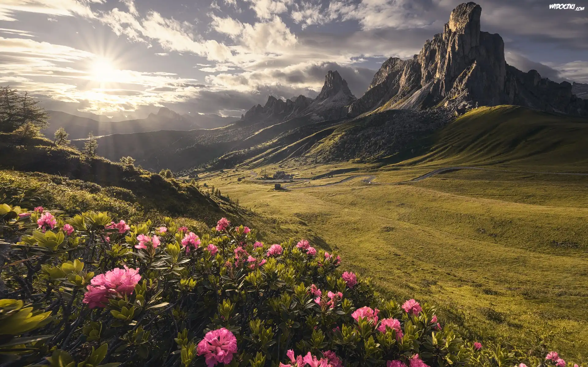 Dolomity, Przełęcz, Passo di Giau, Góry, Kręta, Droga, Różaneczniki, Kwiaty, Promienie słońca, Chmury Prowincja Belluno, Włochy