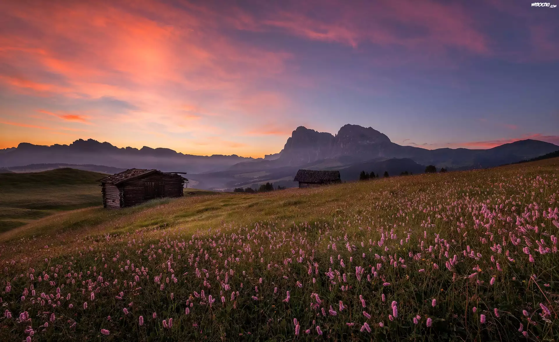 Płaskowyż Seiser Alm, Włochy, Góry Dolomity, Łąka, Kwiaty, Drewniane, Chaty, Zachód słońca