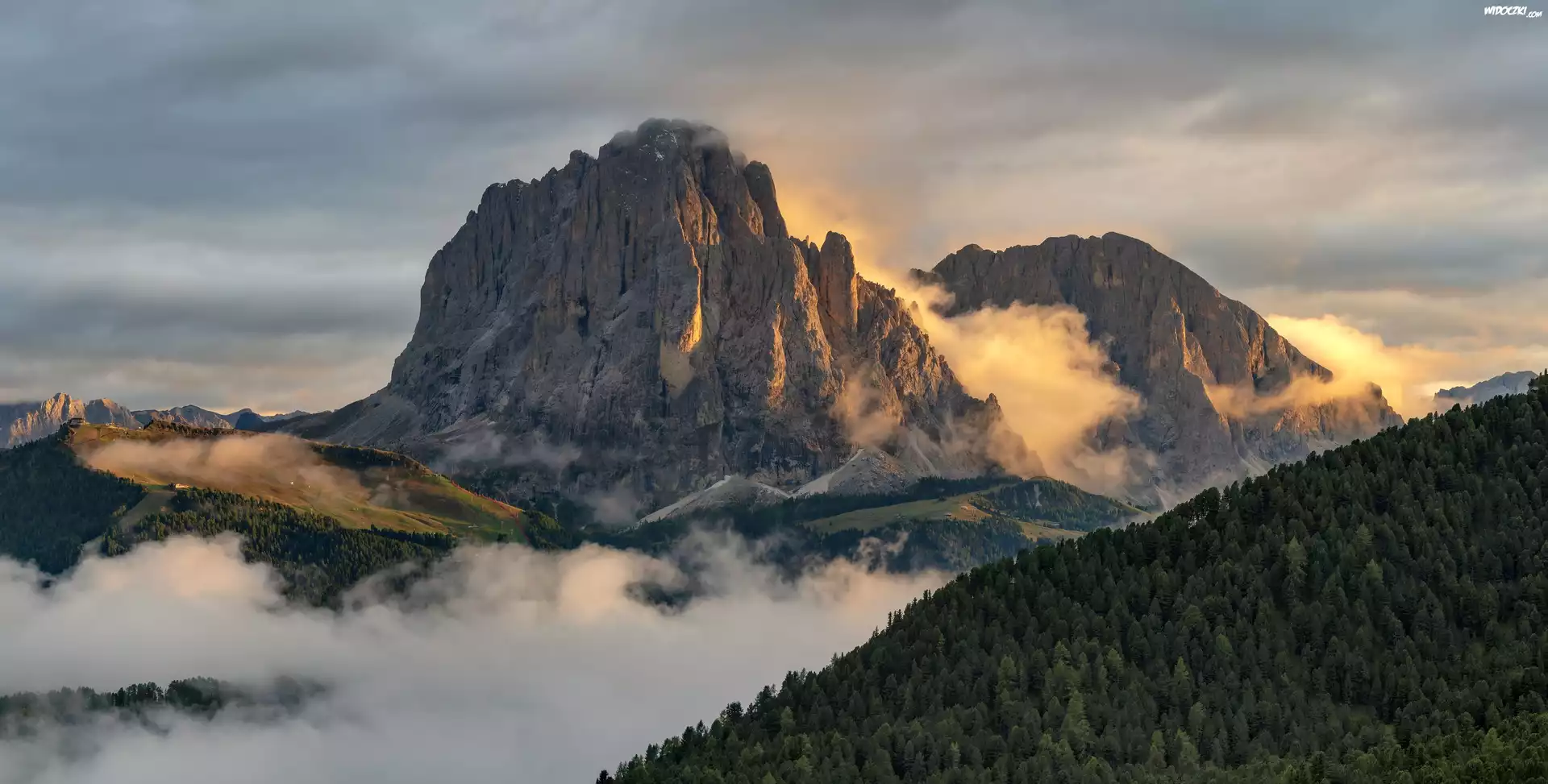 Góry, Dolomity, Mgła, Lasy, Trydent-Górna Adyga, Włochy