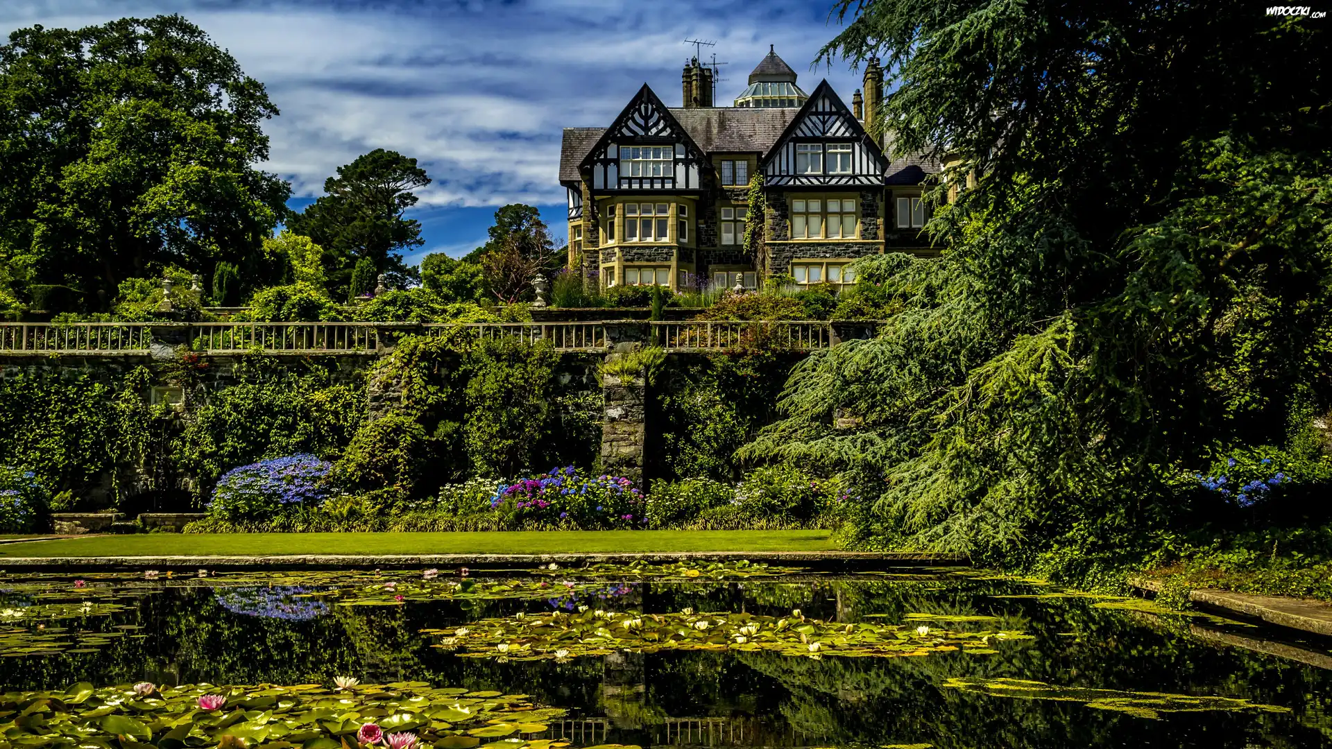 Walia, Ogród Botaniczny Bodnant Garden, Dom, Bodnant House, Staw, Roślinność, Lilie wodne