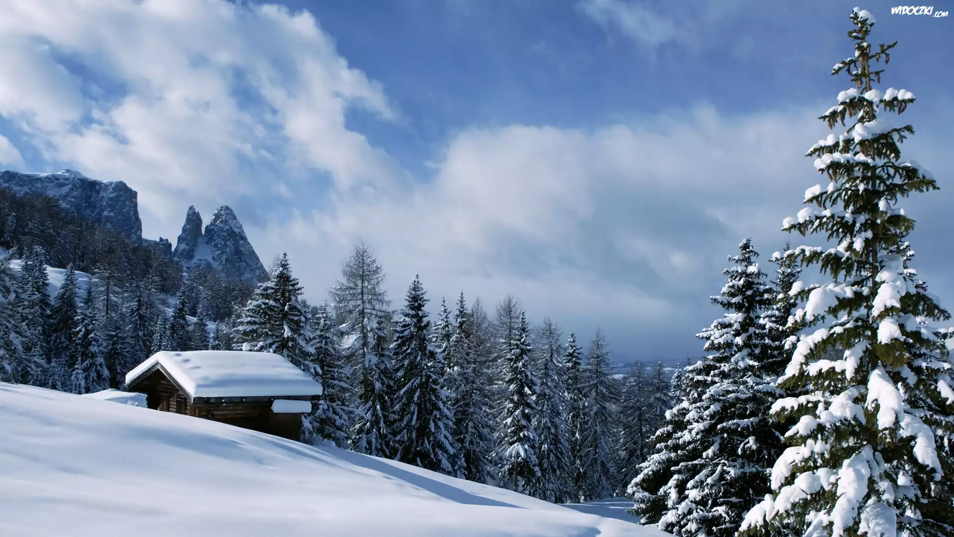 Dolomity, Domek, Lasy, Świerki, Val Gardena, Zima, Włochy