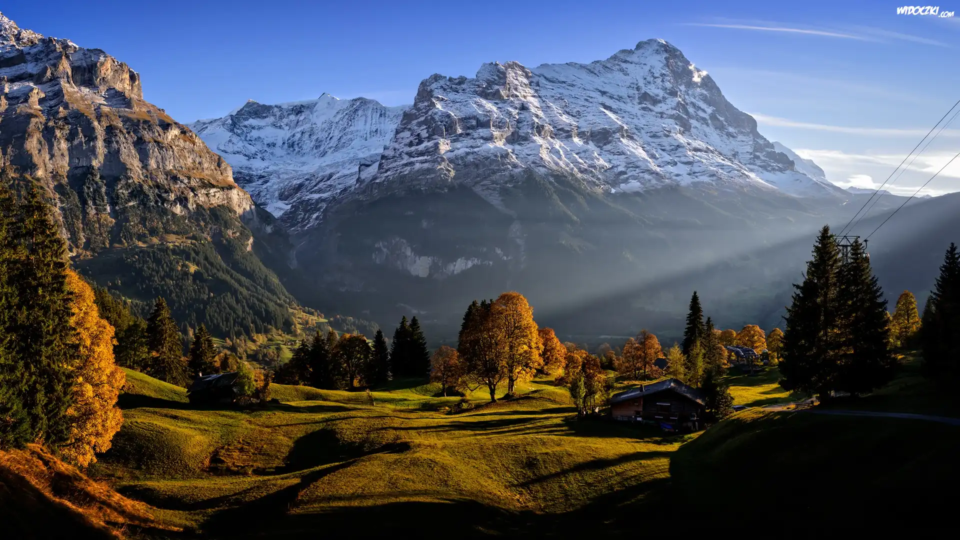 Szwajcaria, Kanton Berno, Wieś Grindelwald, Góry, Alpy Berneńskie, Drzewa, Domy