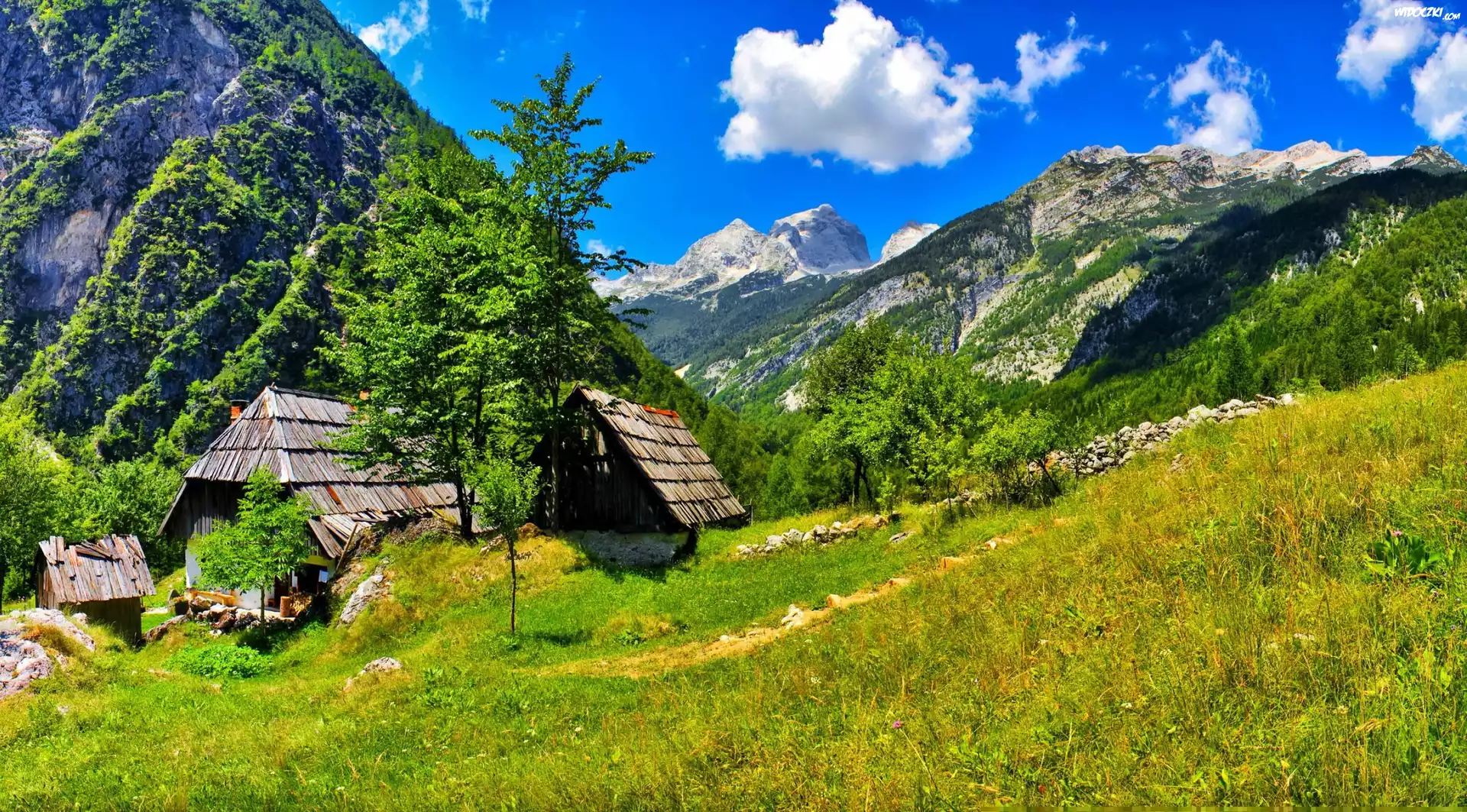 Domy, Góry, Lasy, Łąka