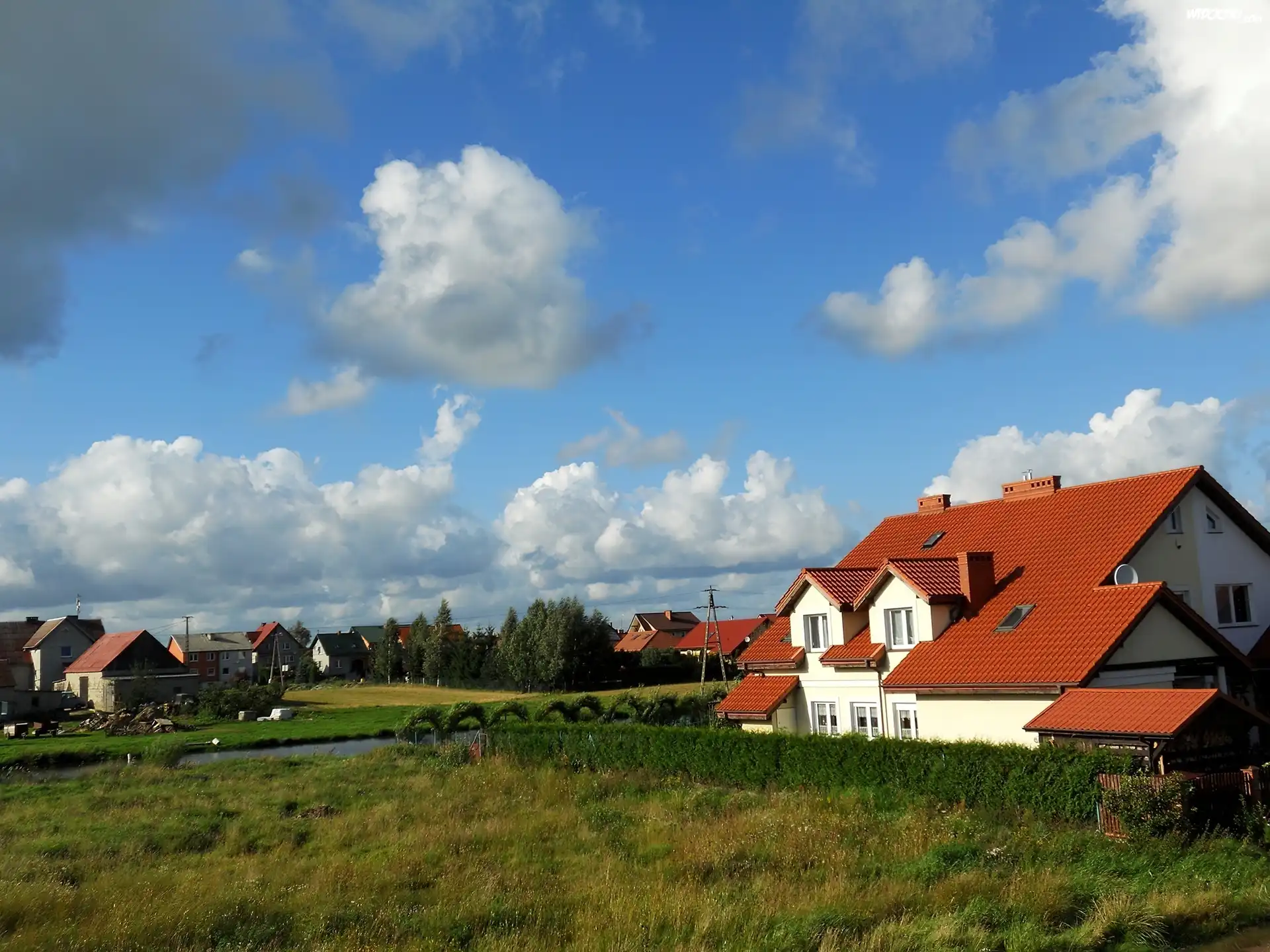 WieÅ›, Domy, Staw